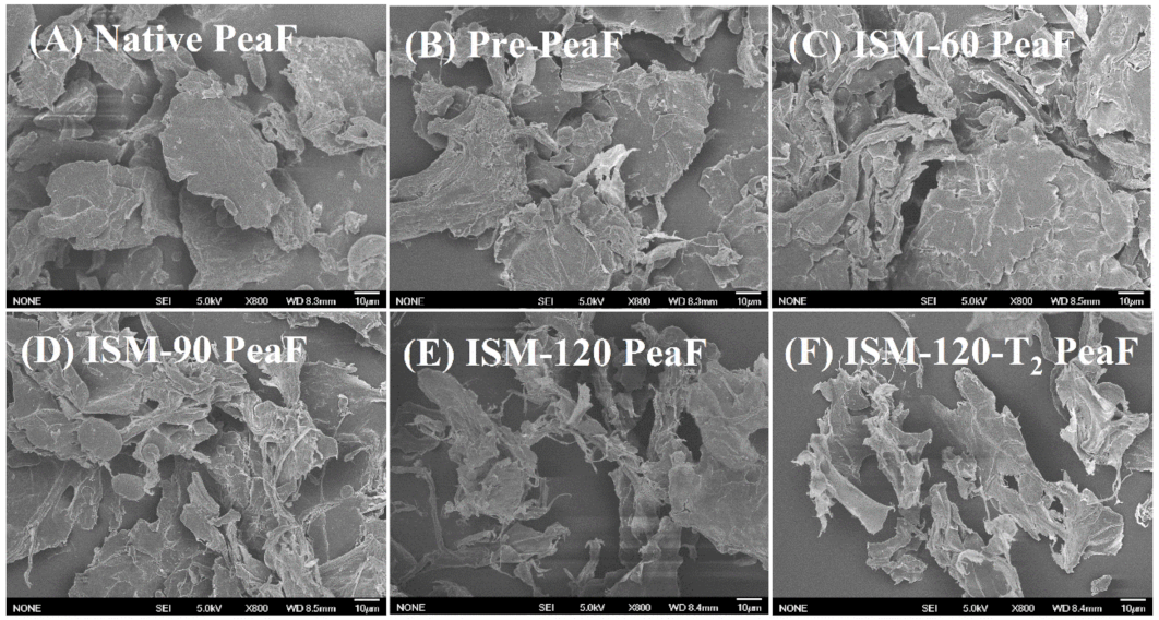Foods 11 00418 g003 550