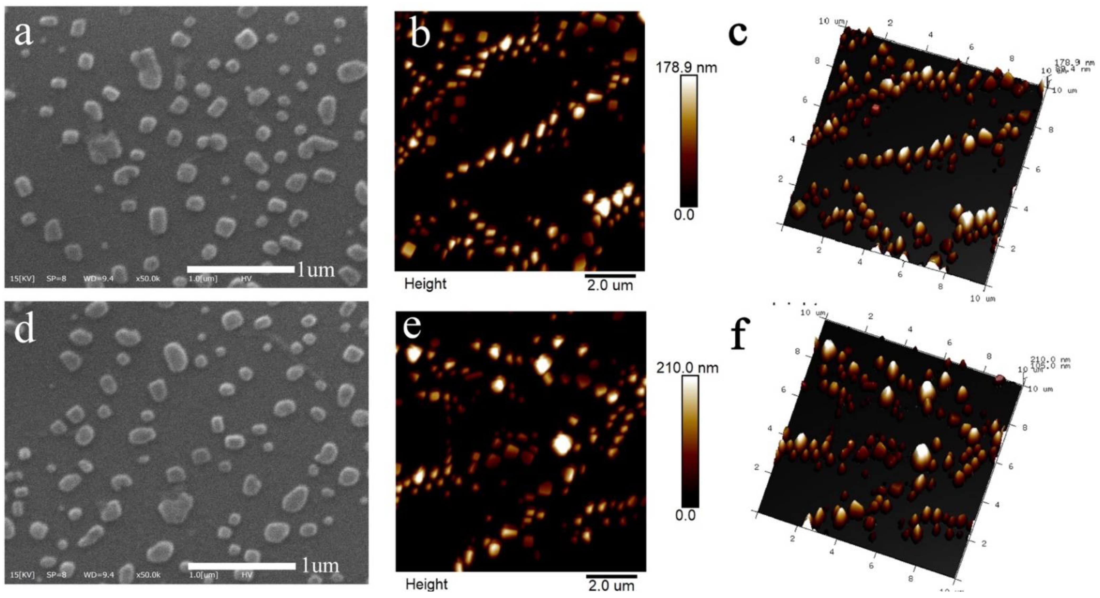 Foods 11 00438 g001 550