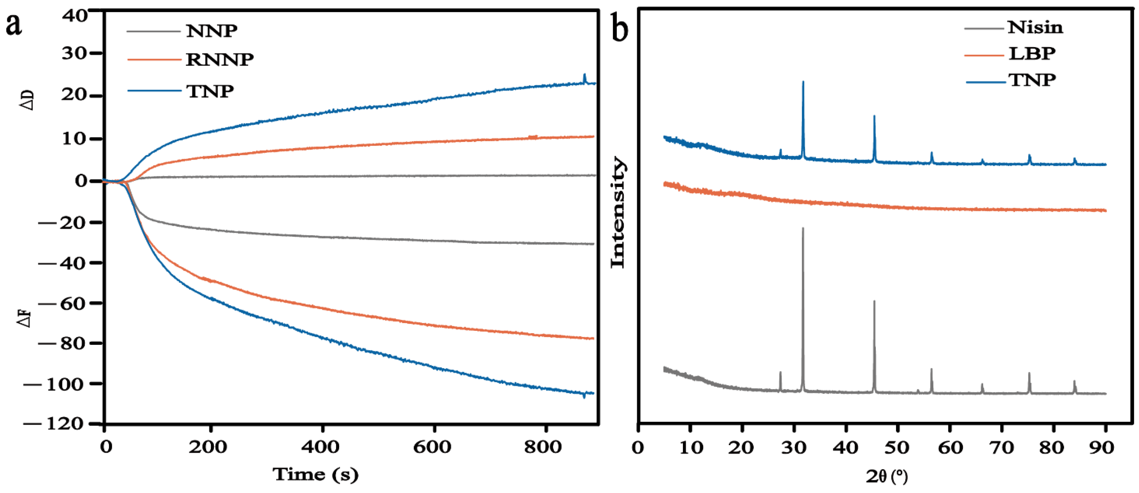Foods 11 00438 g003 550
