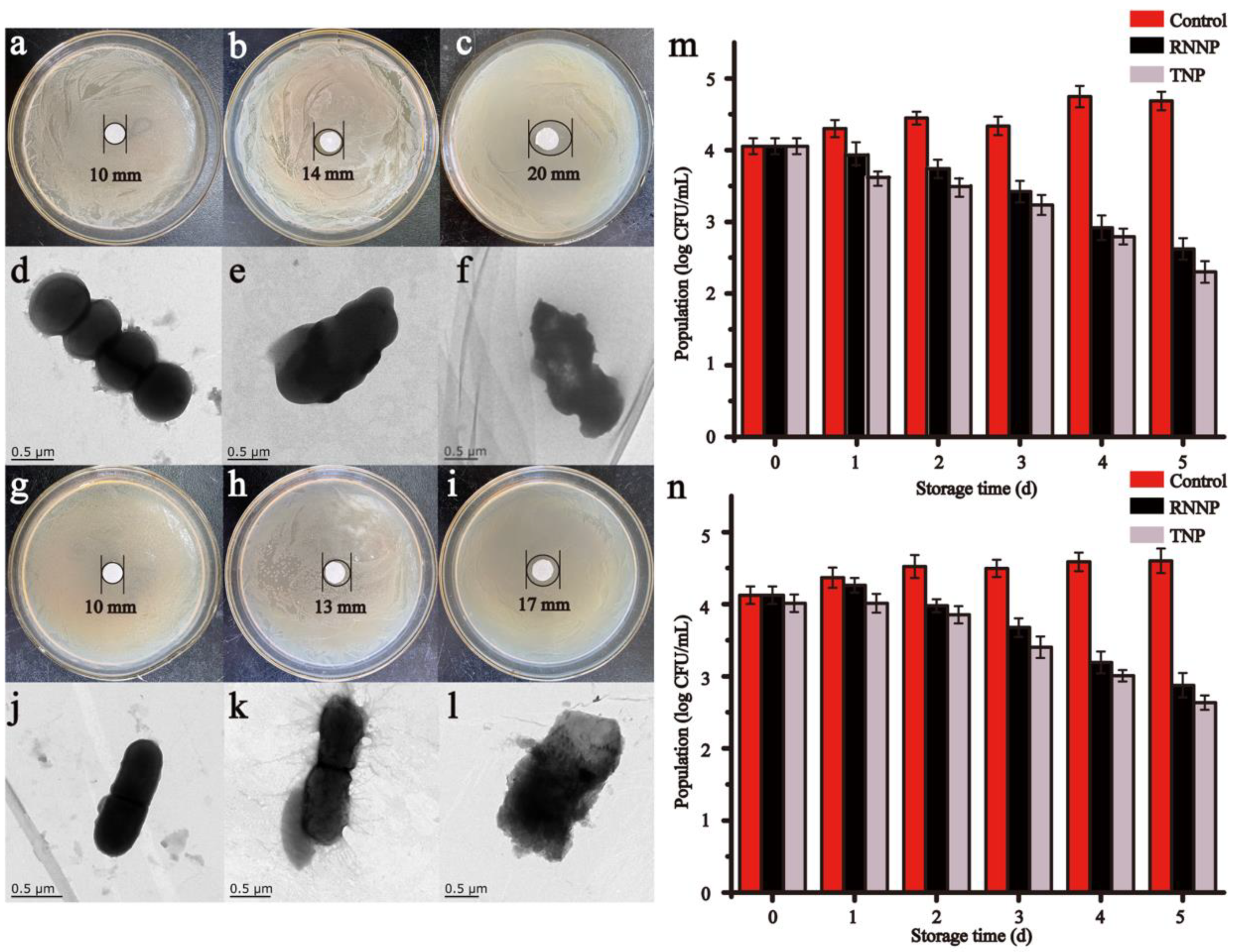 Foods 11 00438 g005 550