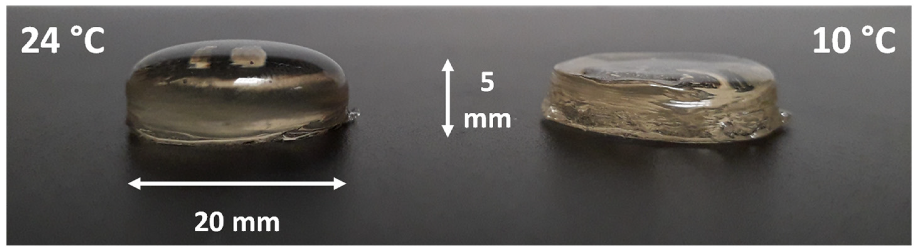 Foods 11 00458 g006 550