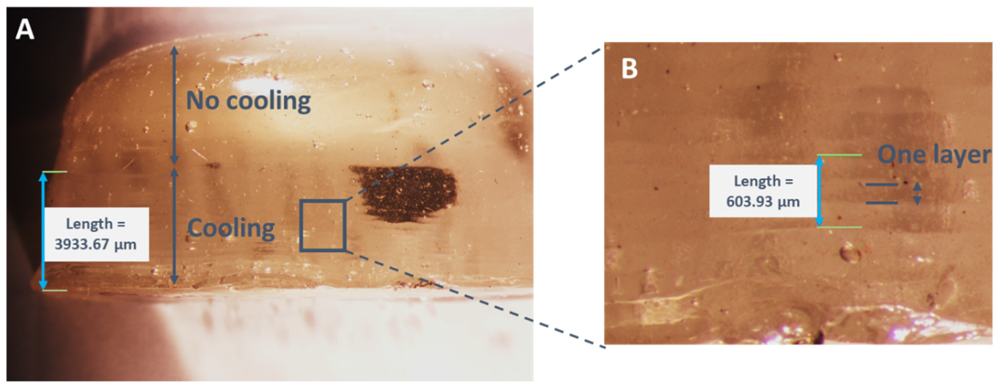 Foods 11 00458 g008 550