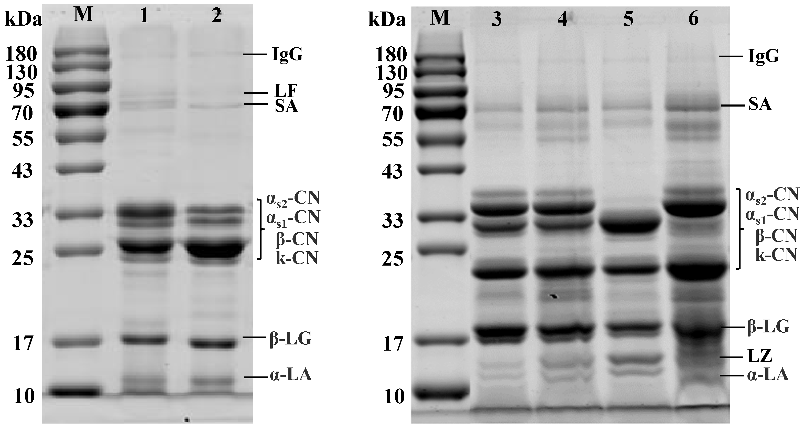 Foods 11 00472 g001 Foods 11 00472 g001