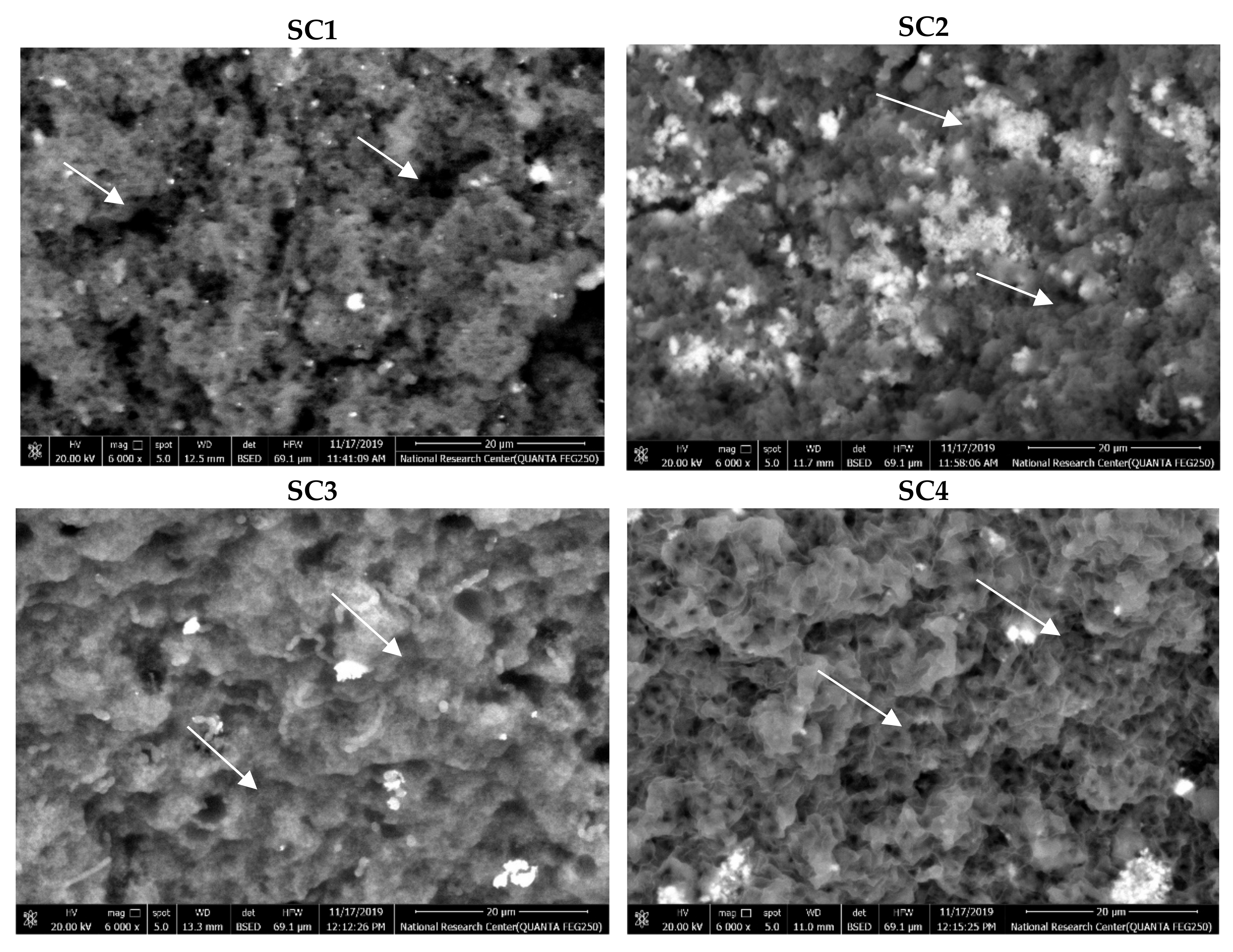 Foods 11 00490 g003 550