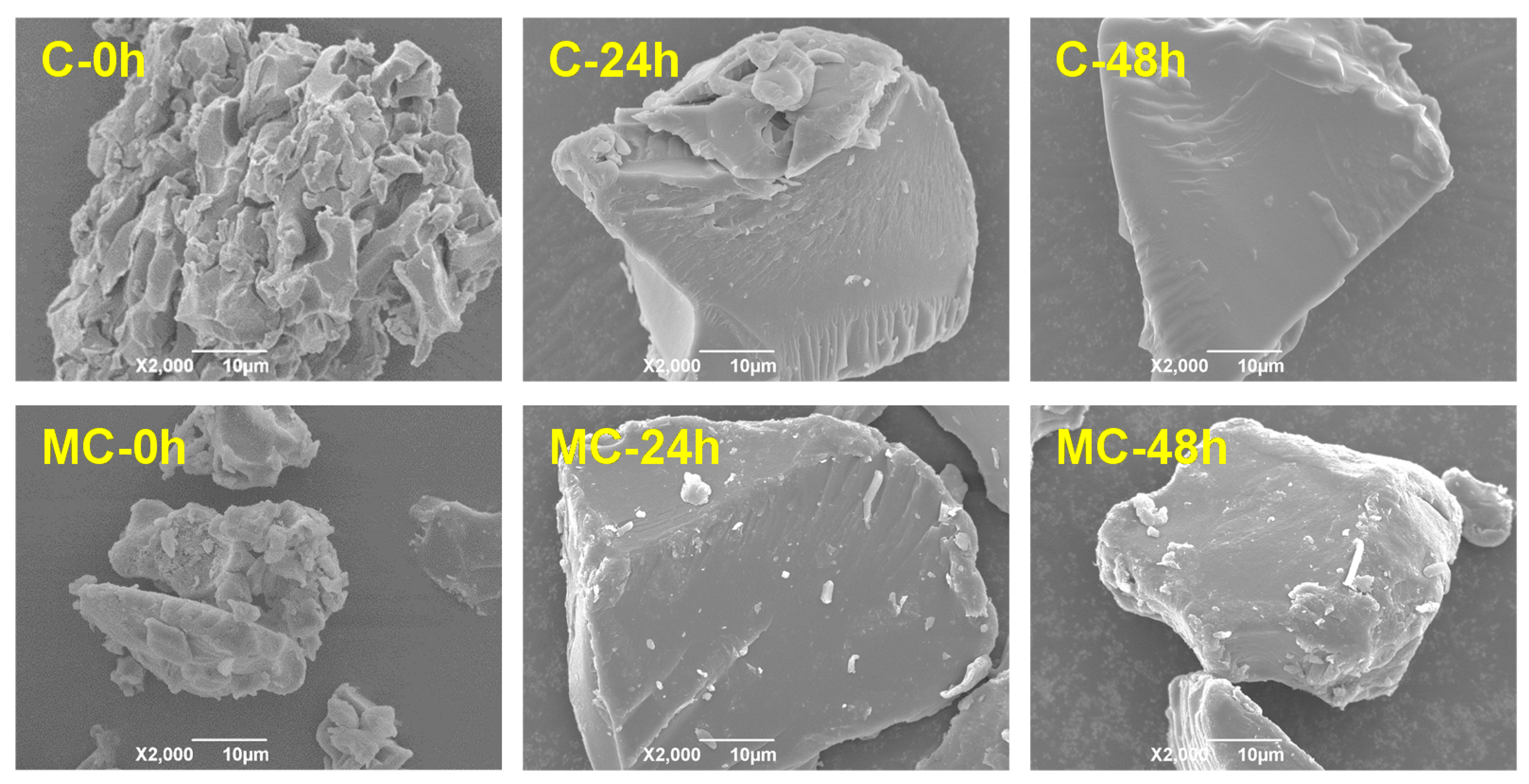 Foods 11 00501 g001 550