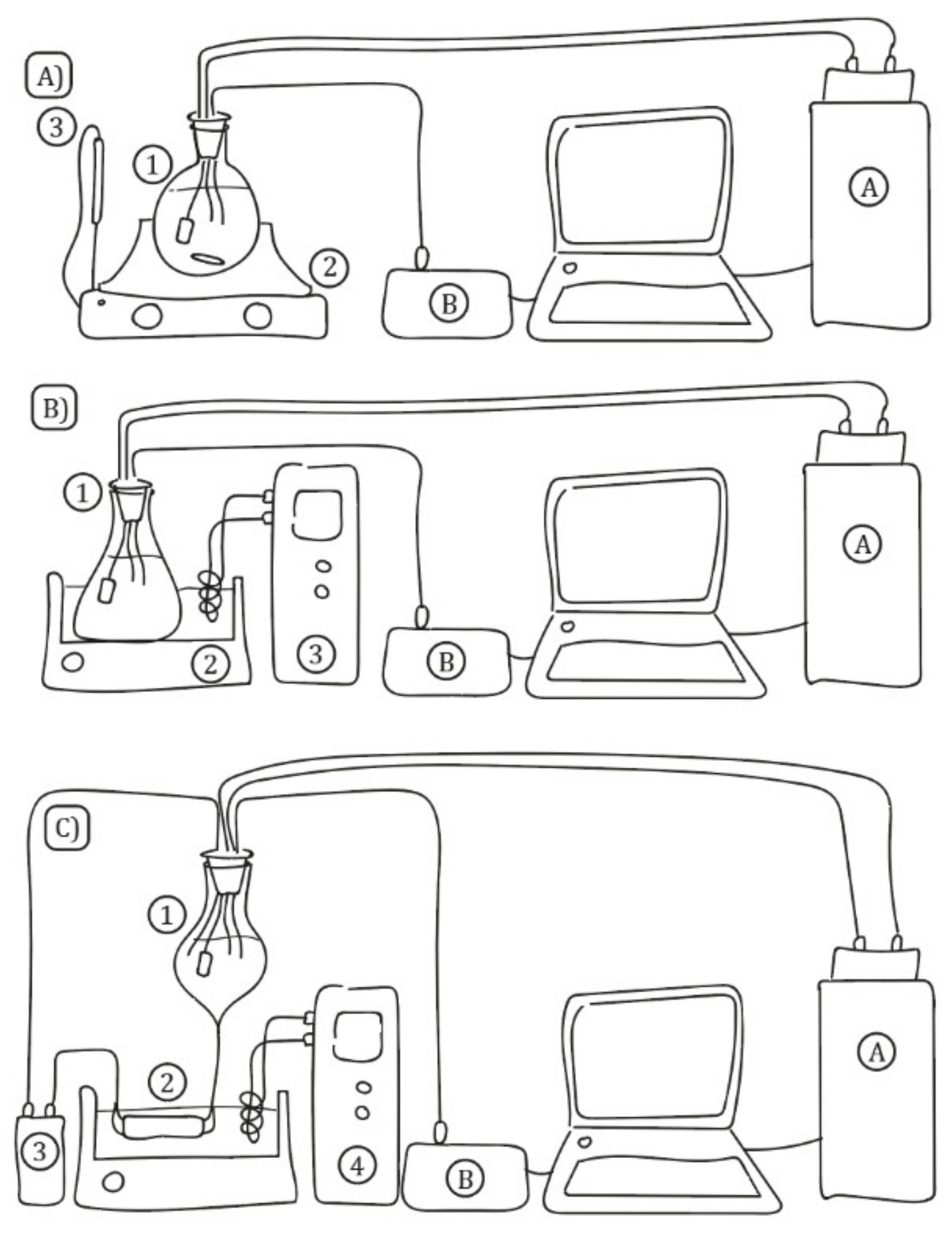 Foods 11 00517 g001 550