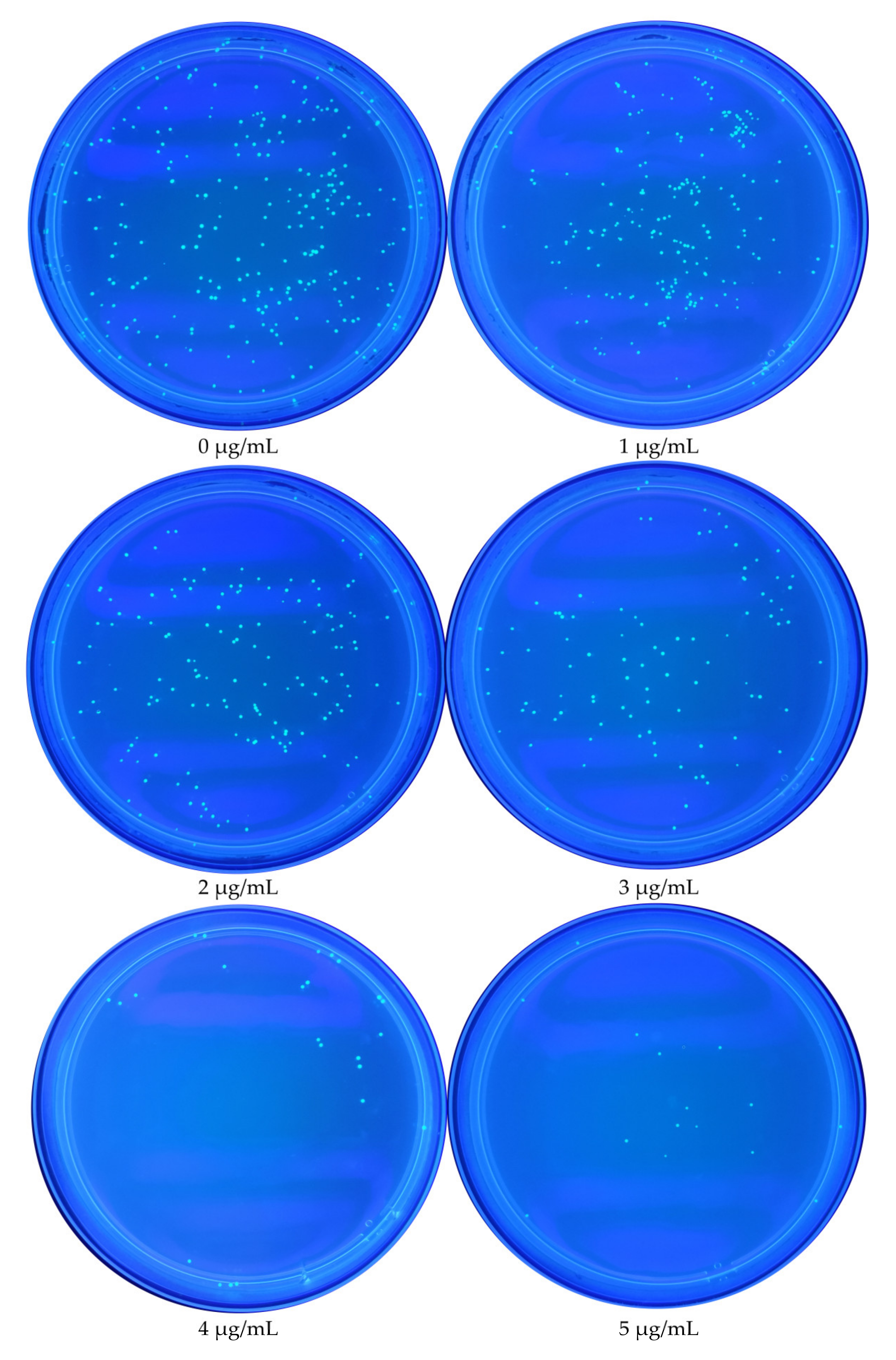 Foods 11 00527 g002 Foods 11 00527 g002