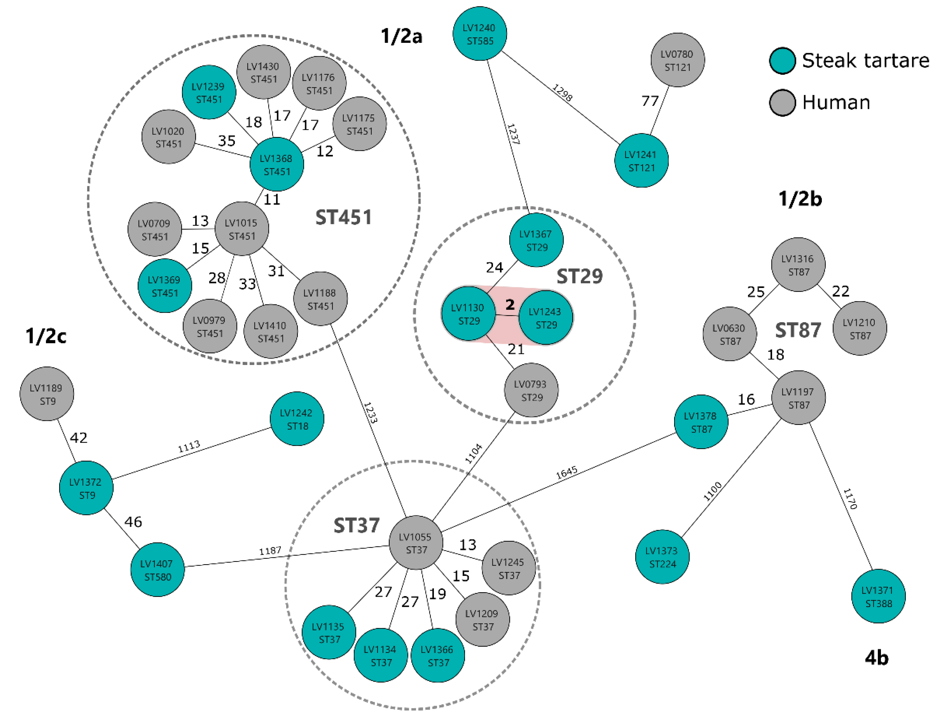 Foods 11 00533 g002 550