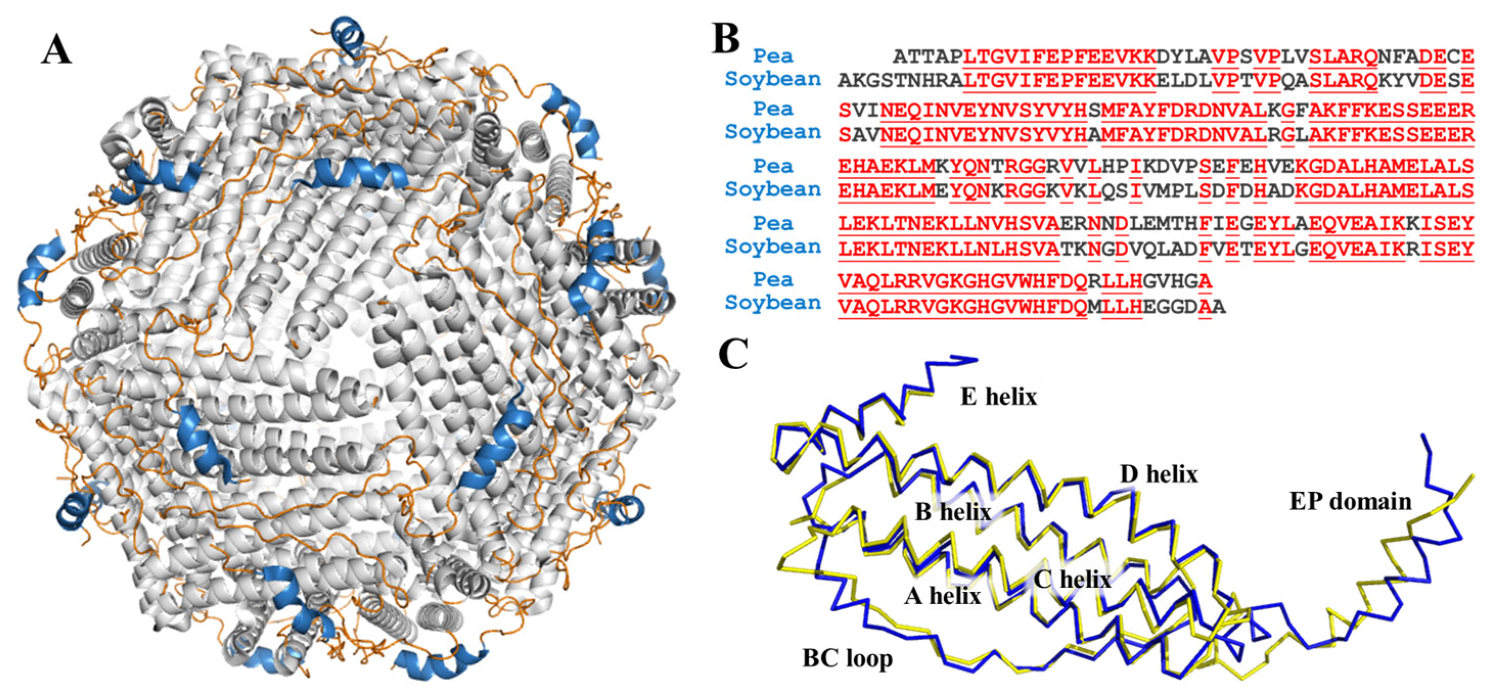 Foods 11 00557 g001 550