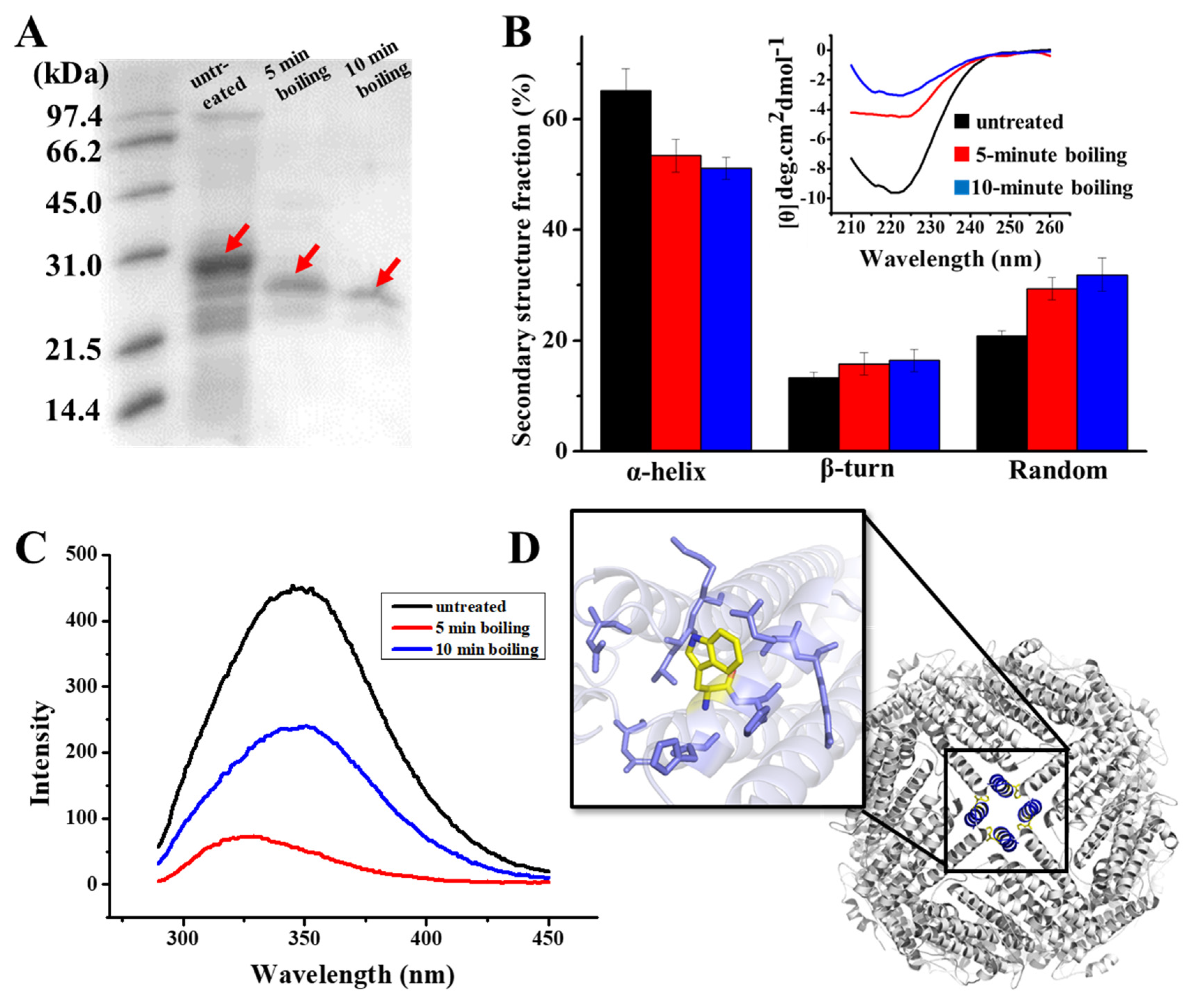 Foods 11 00557 g002 550