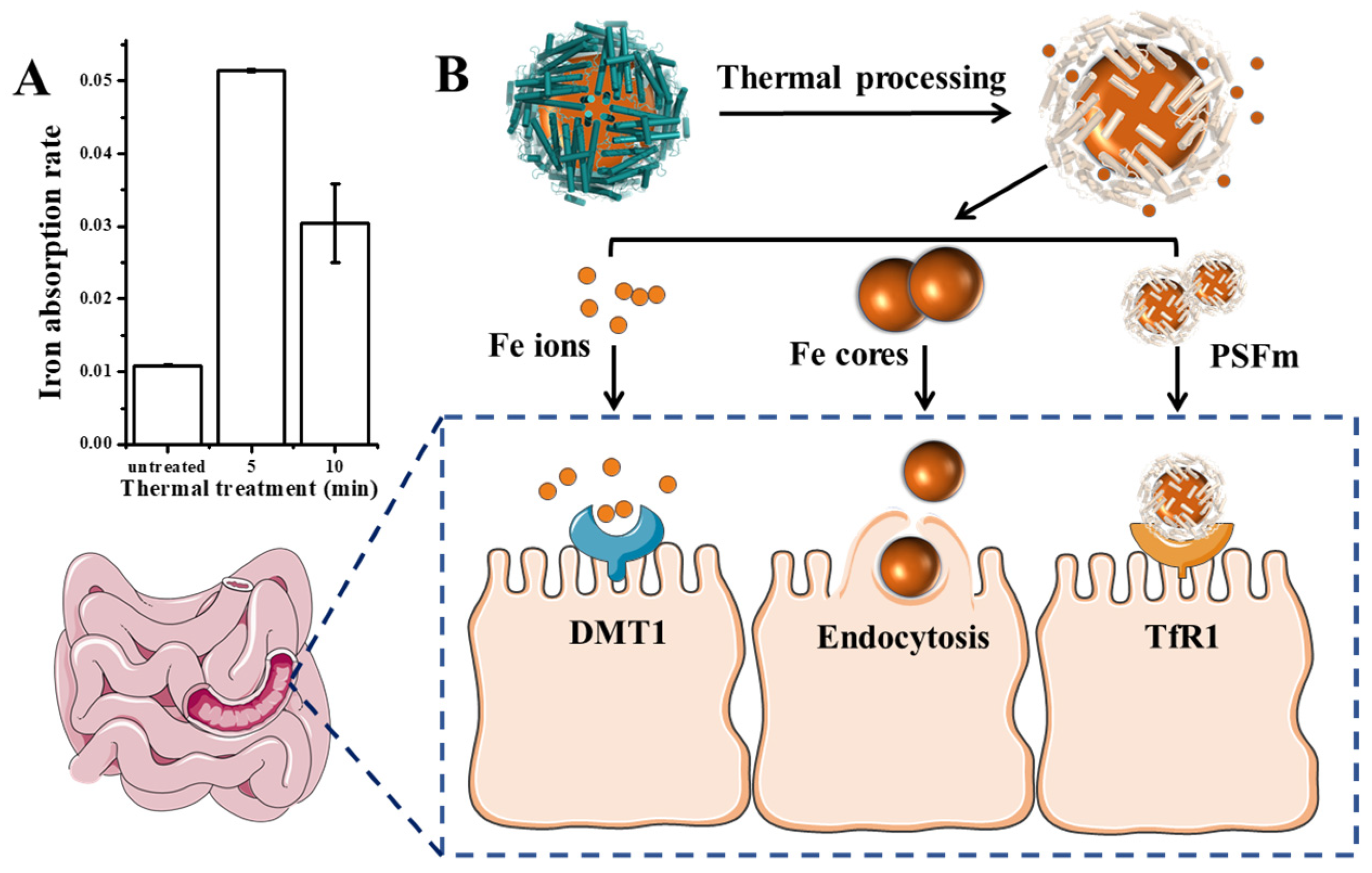 Foods 11 00557 g007 550