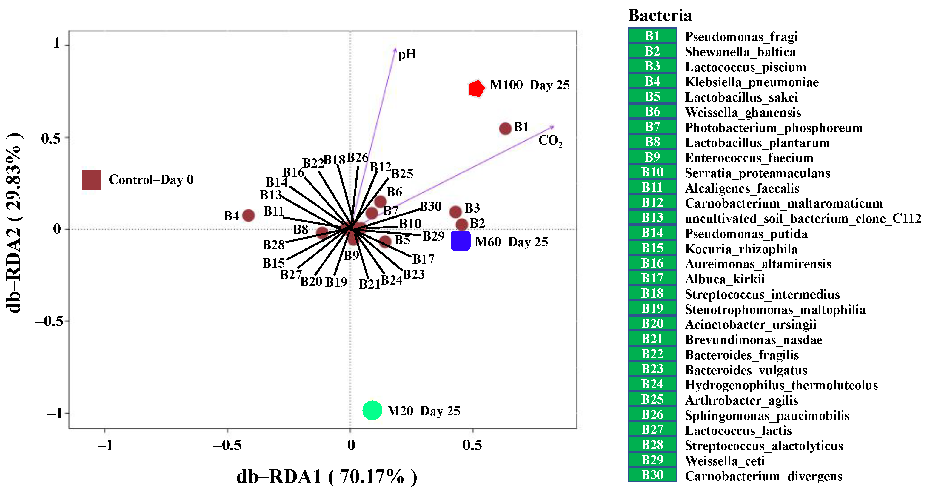 Foods 11 00559 g004 550