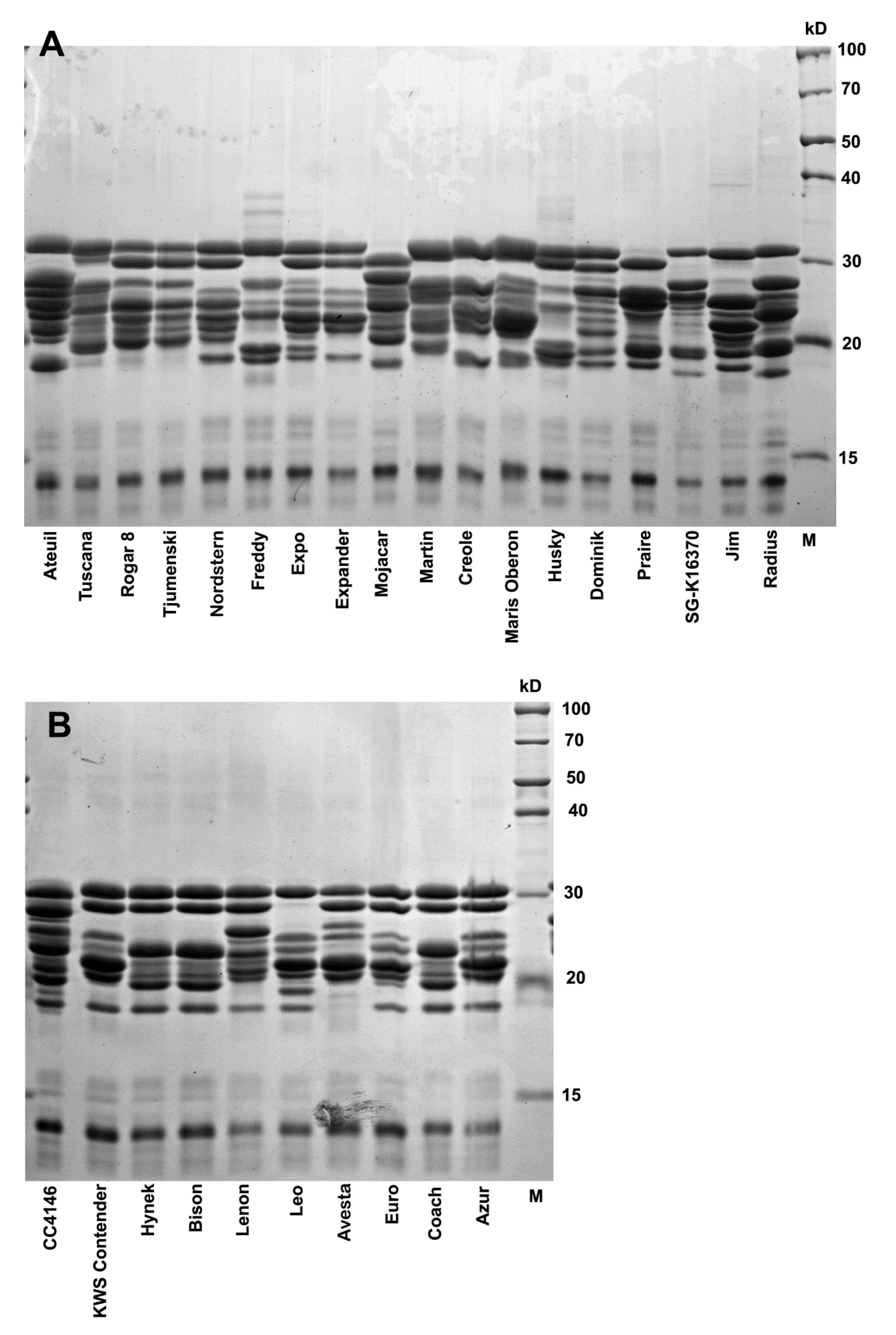 Foods 11 00567 g004 550