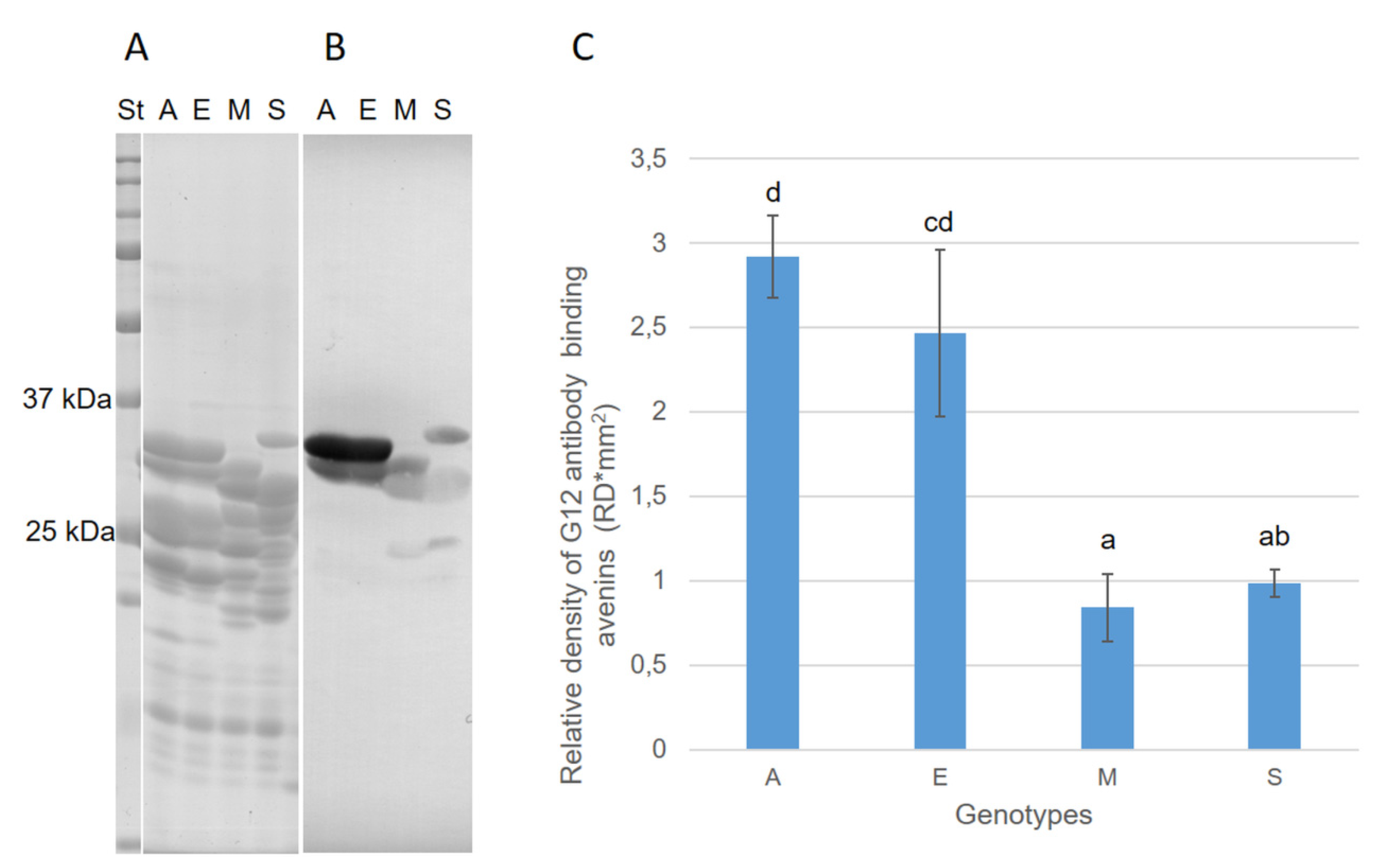 Foods 11 00567 g005 550