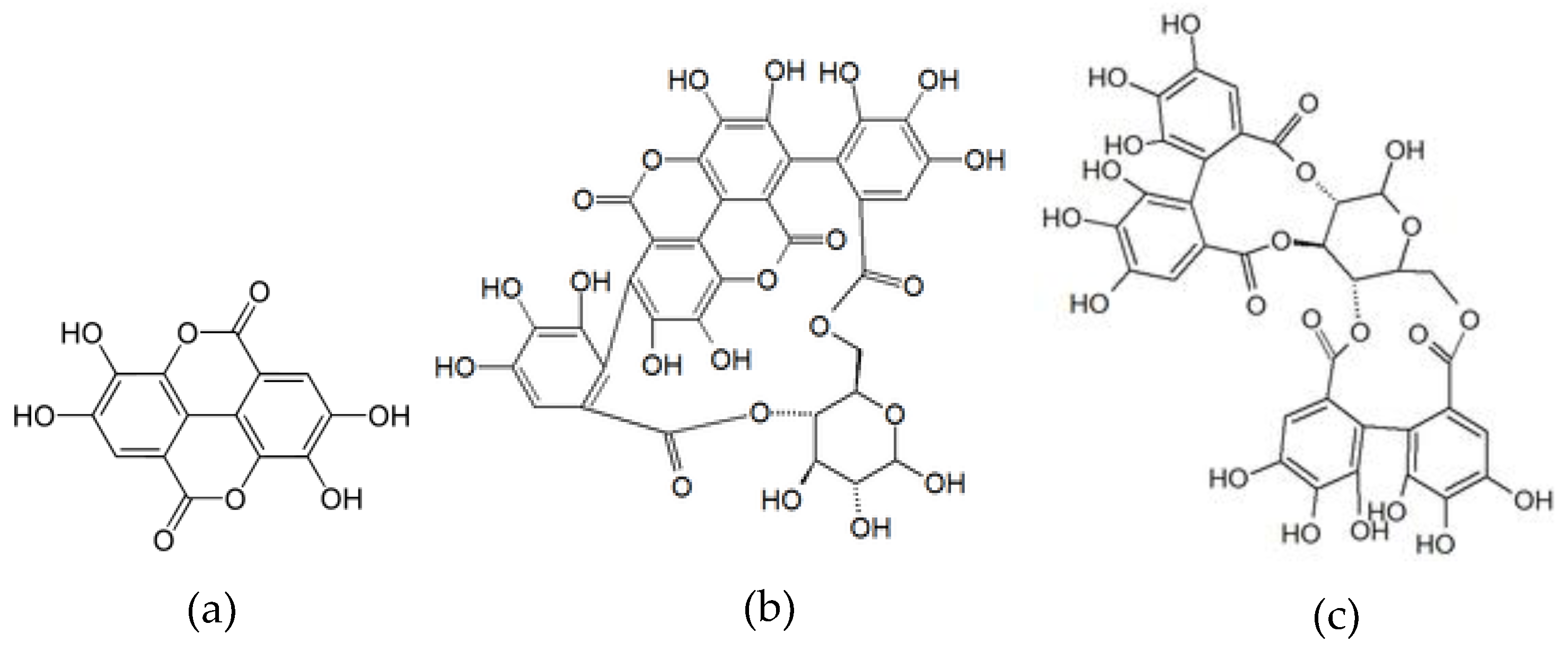 Foods 11 00570 g001 Foods 11 00570 g001