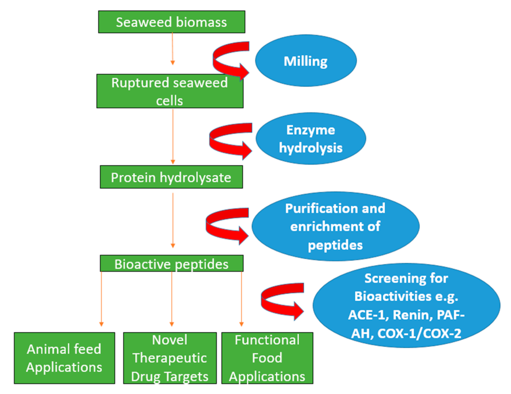 Foods | Free Full-Text | Macroalgal Proteins: A Review
