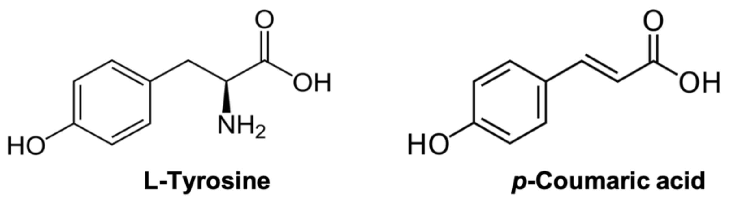 Foods 11 00577 g001 Foods 11 00577 g001