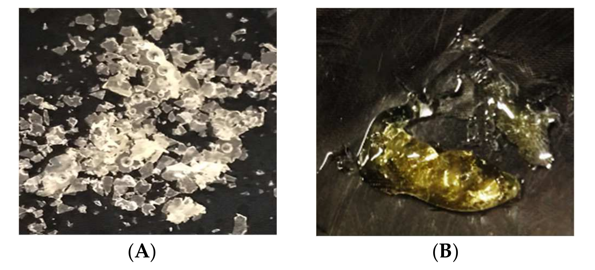 Foods 11 00583 g003a