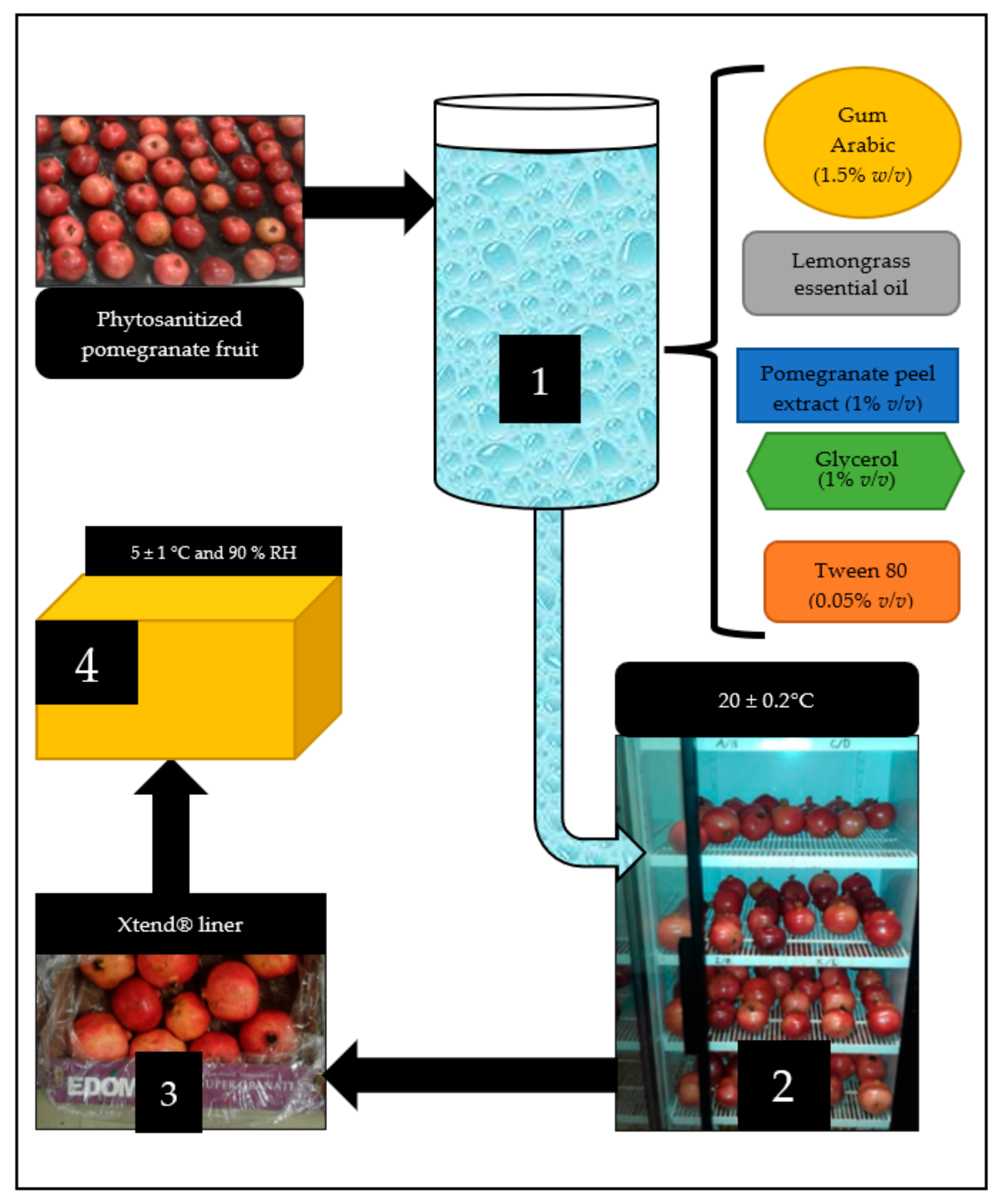 Foods, Free Full-Text