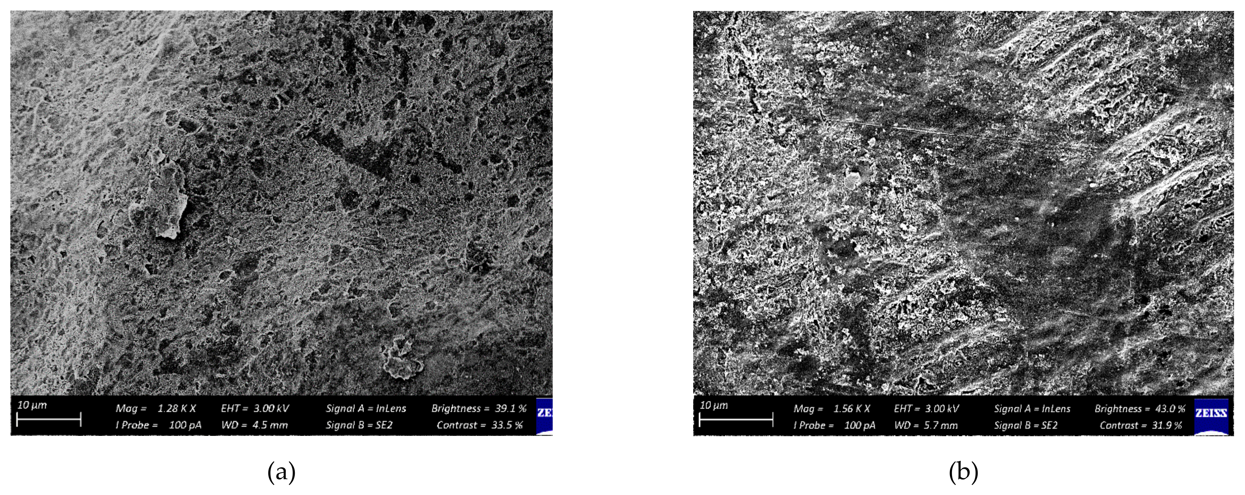 Foods 11 00593 g003a 550