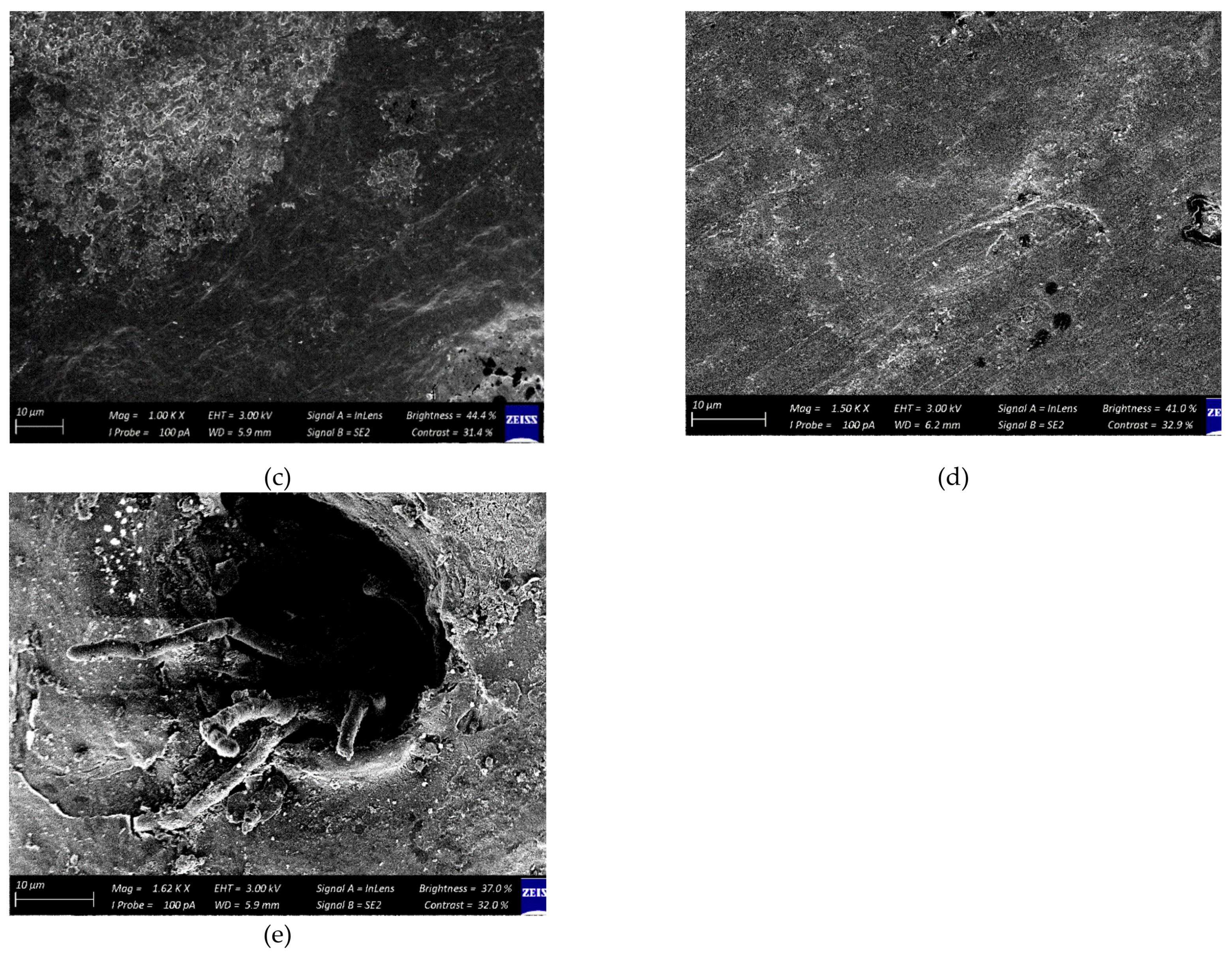 Foods 11 00593 g003b 550