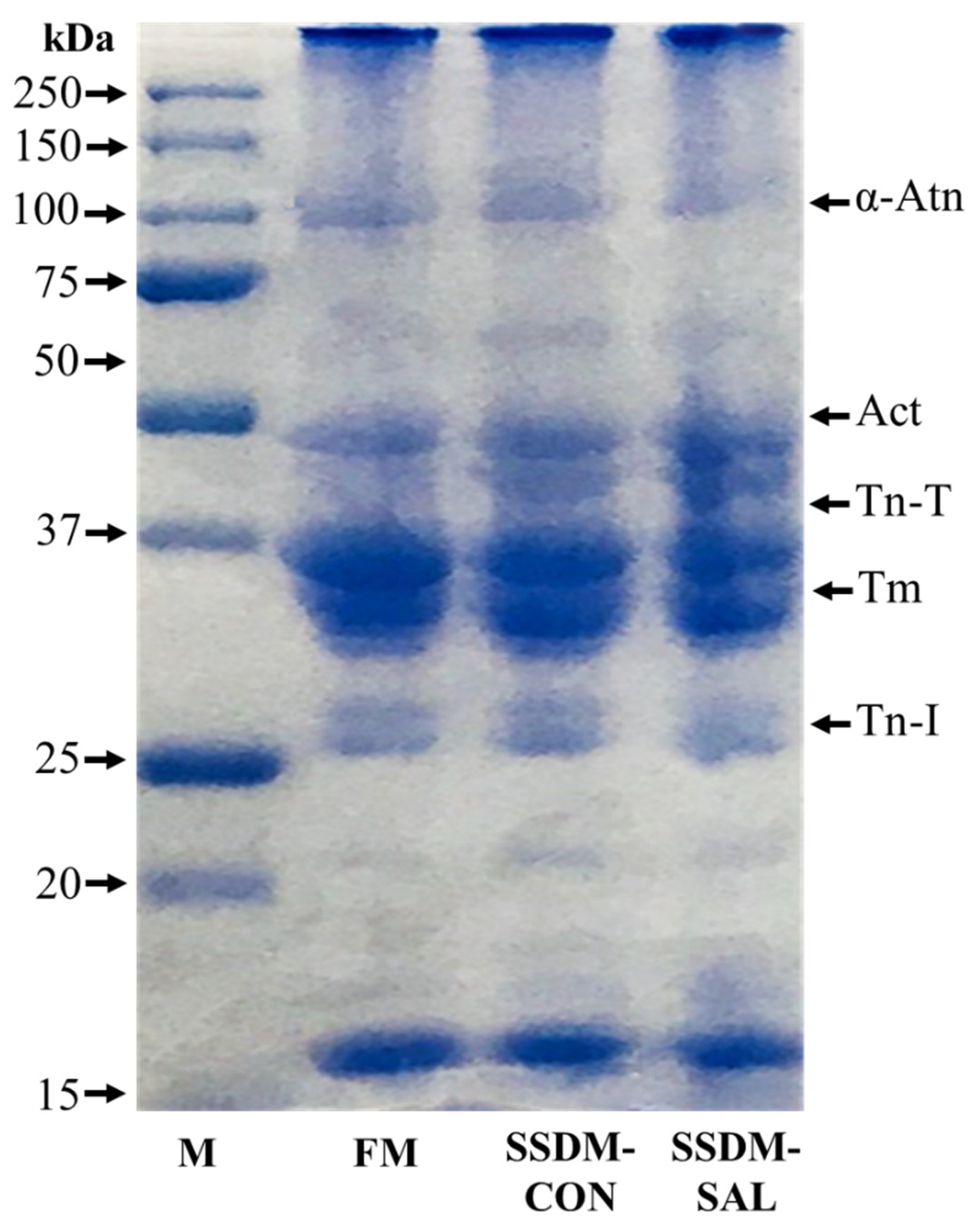 Foods 11 00597 g004 Foods 11 00597 g004