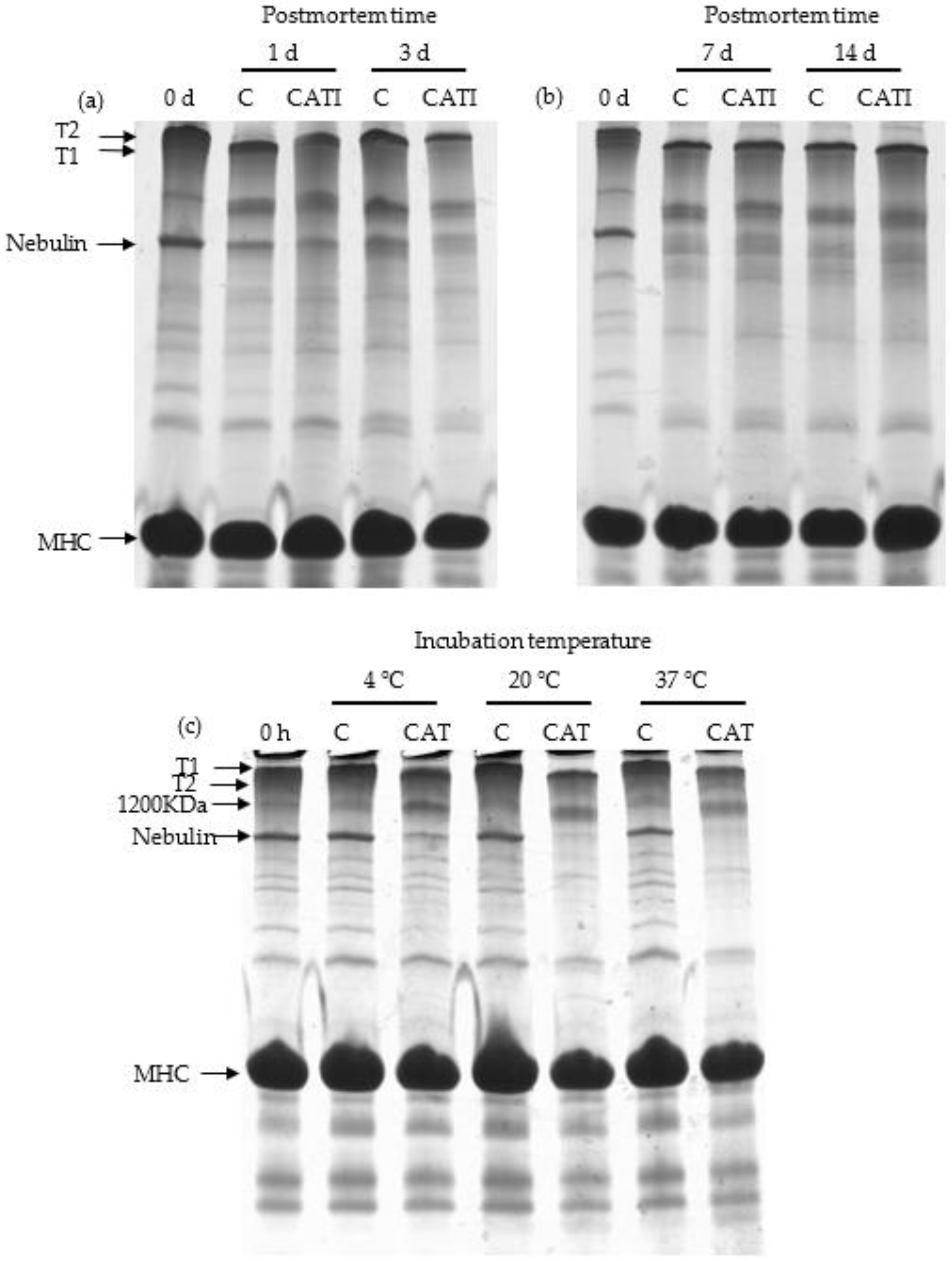 Foods 11 00613 g001 Foods 11 00613 g001