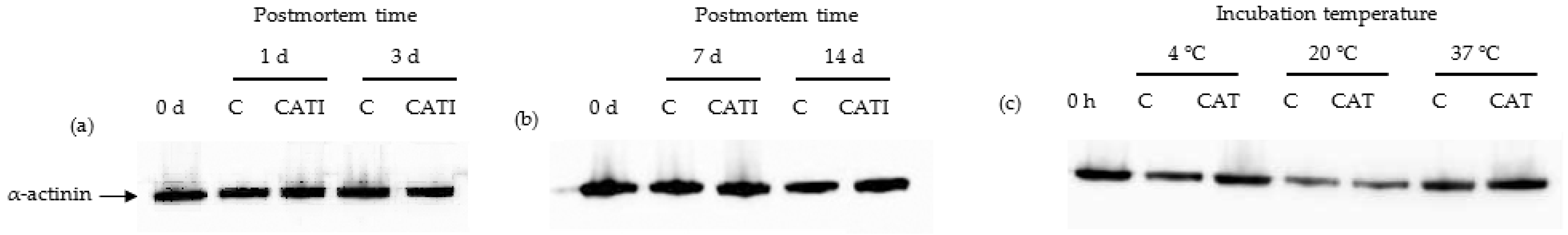Foods 11 00613 g002 Foods 11 00613 g002