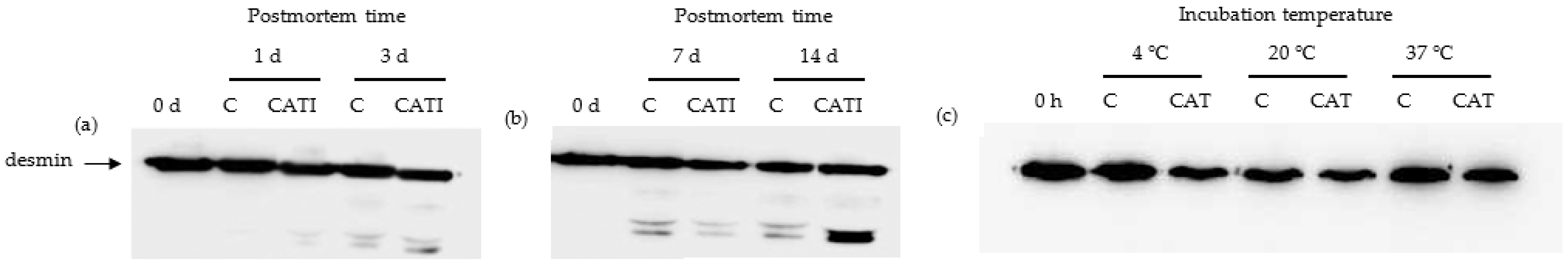 Foods 11 00613 g003 Foods 11 00613 g003