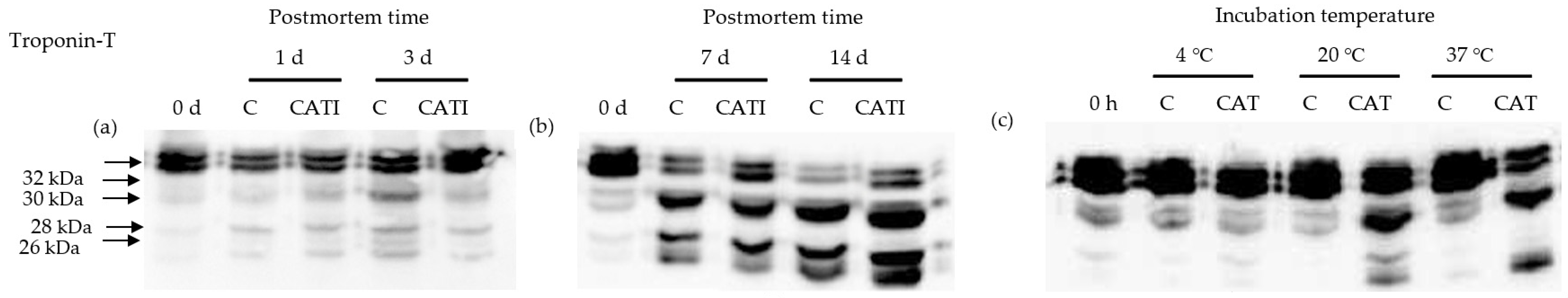 Foods 11 00613 g004 Foods 11 00613 g004