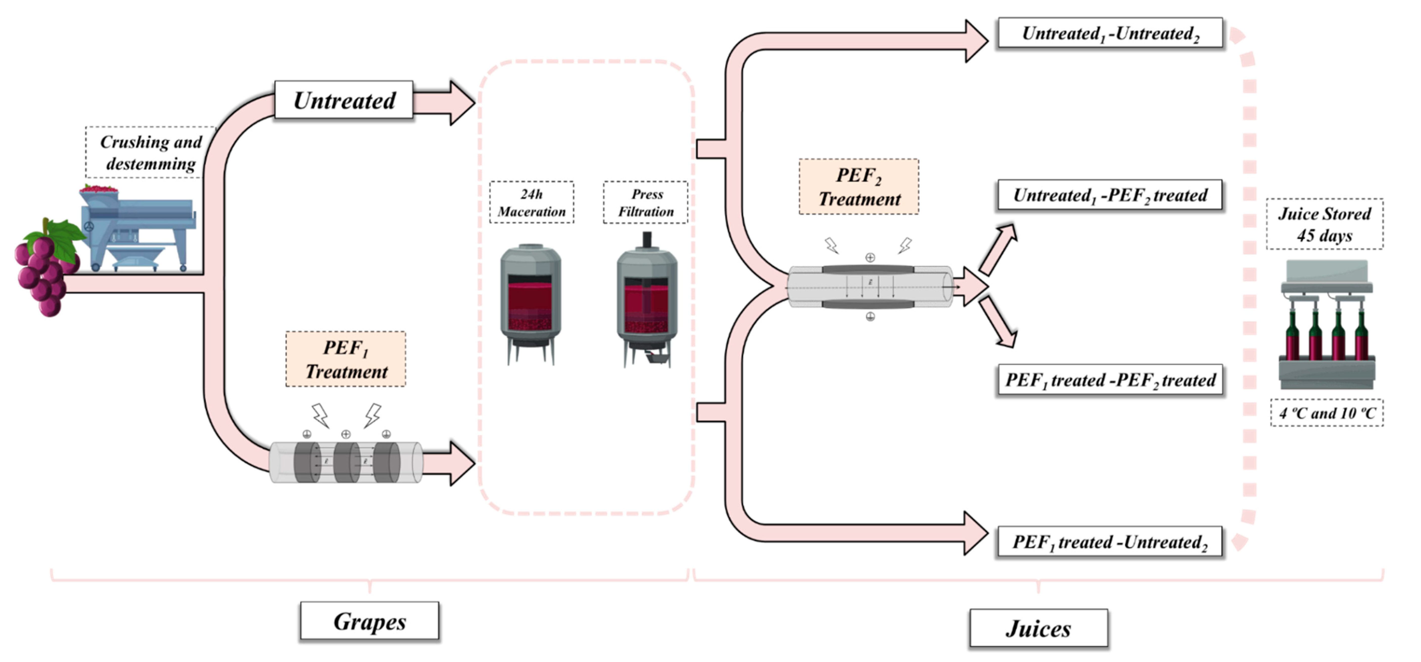 TwoStep PEF Processing for Enhancing the Polyphenol Concentration and