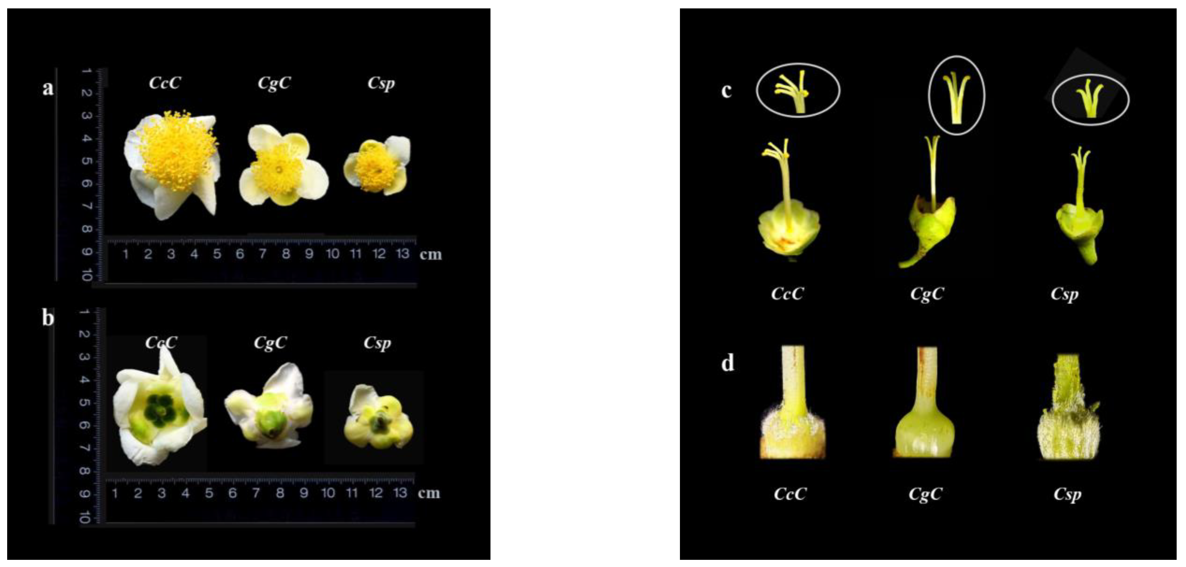Foods 11 00627 g002a