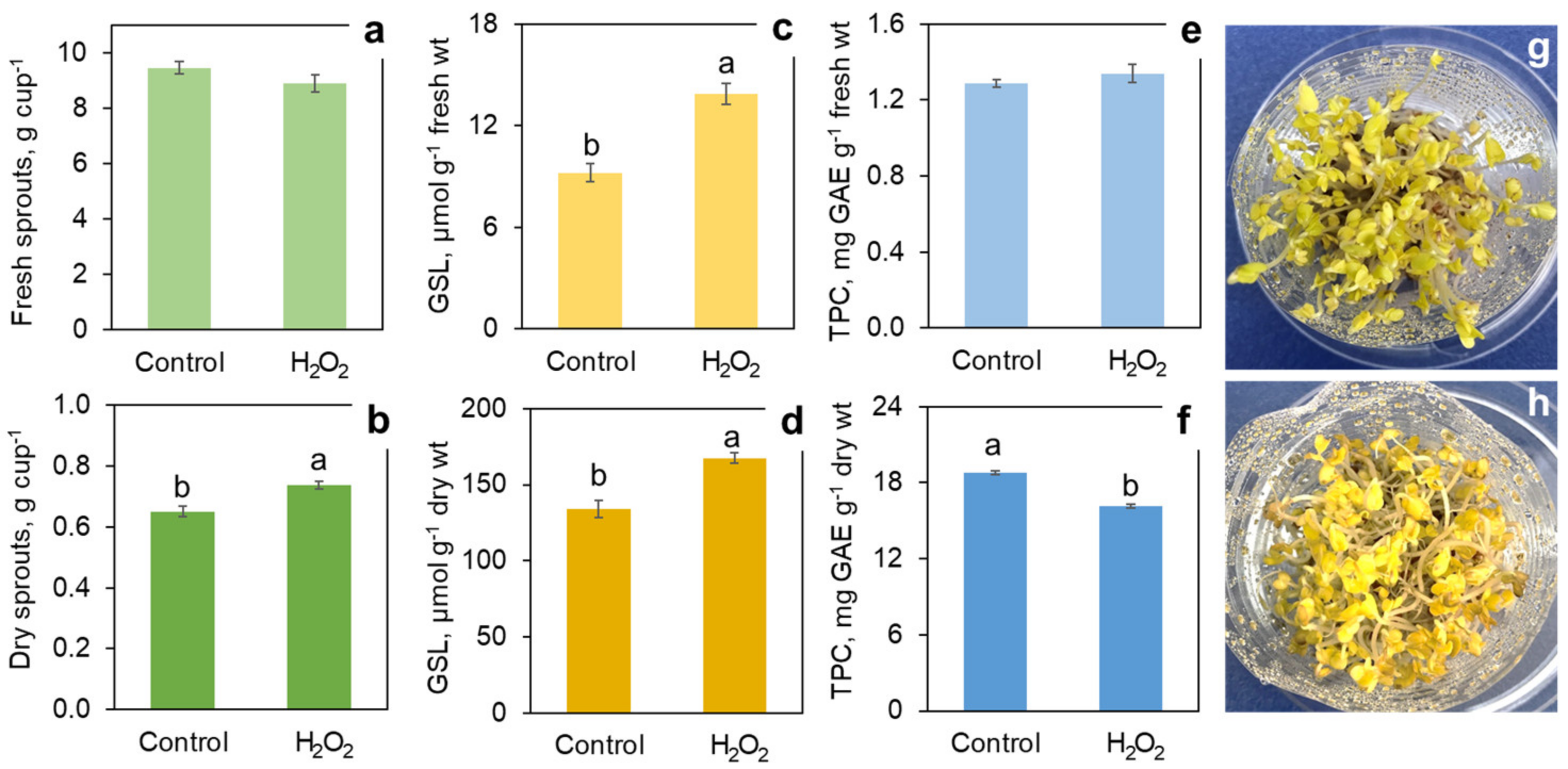 Foods 11 00655 g007 550