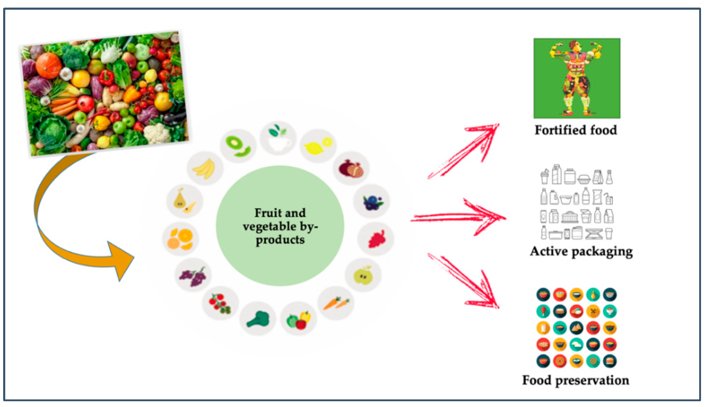 Foods 11 00665 g001 Foods 11 00665 g001