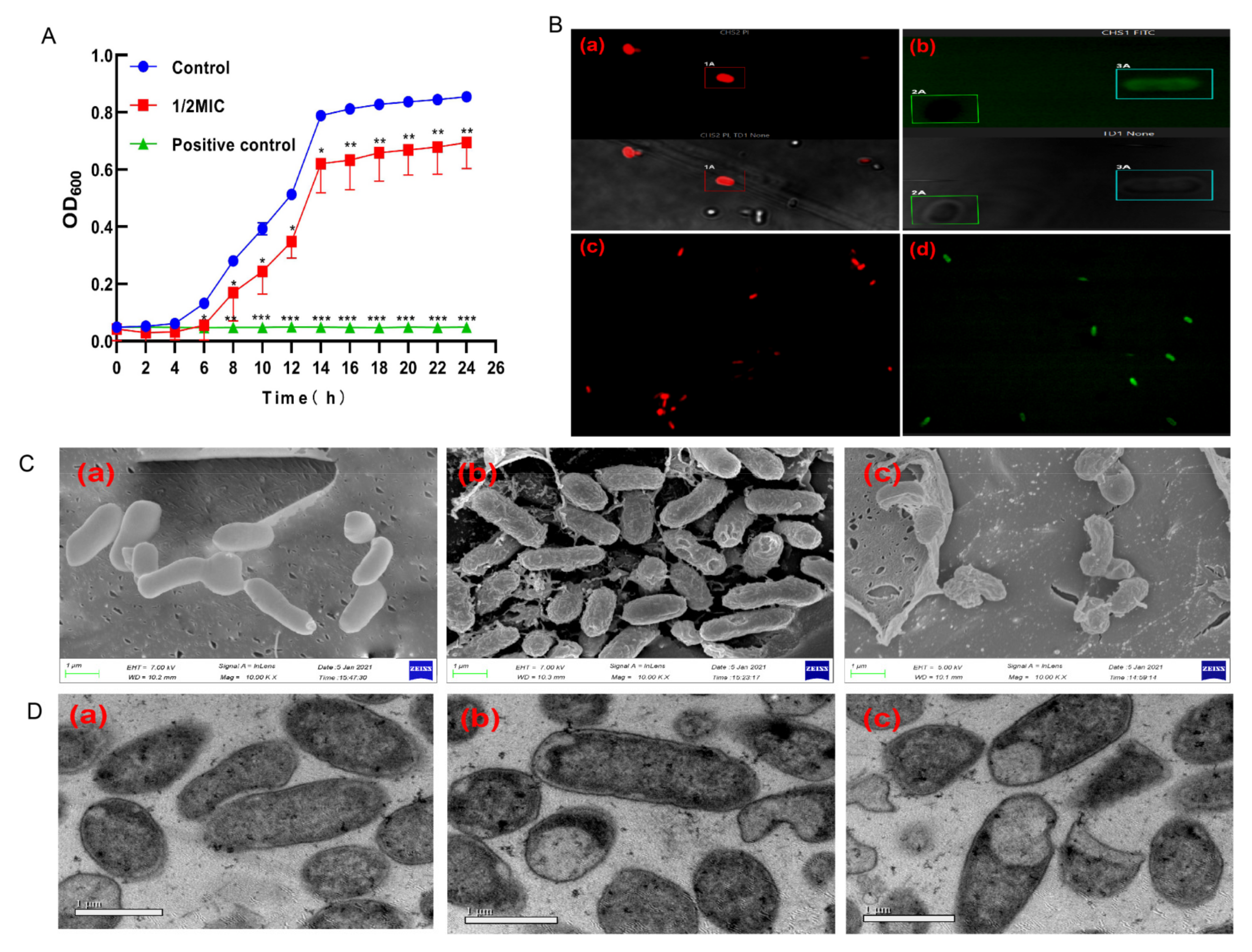 Foods 11 00672 g001 550