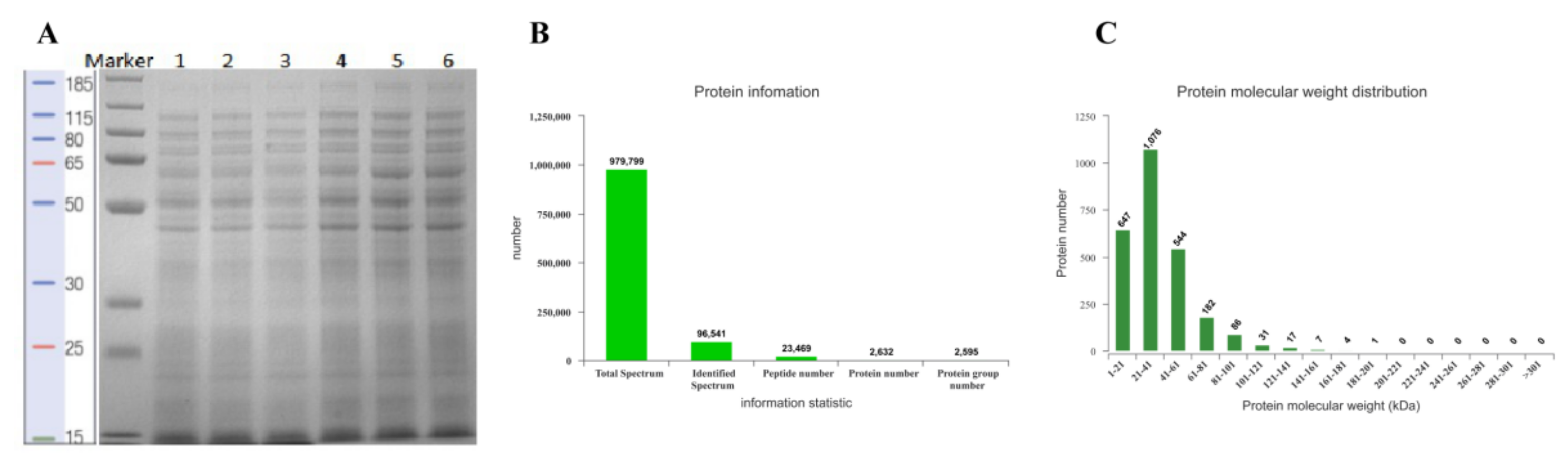 Foods 11 00672 g002 550