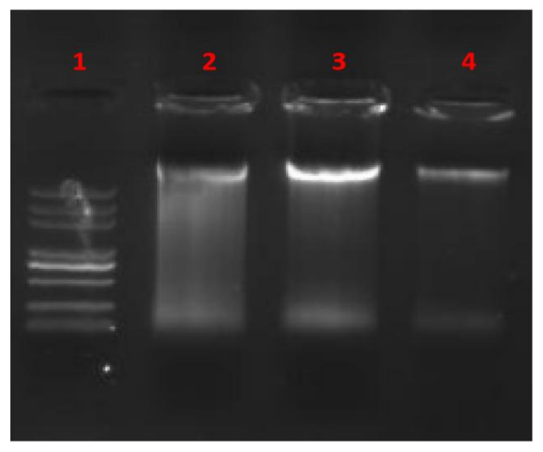 Foods 11 00672 g006 550