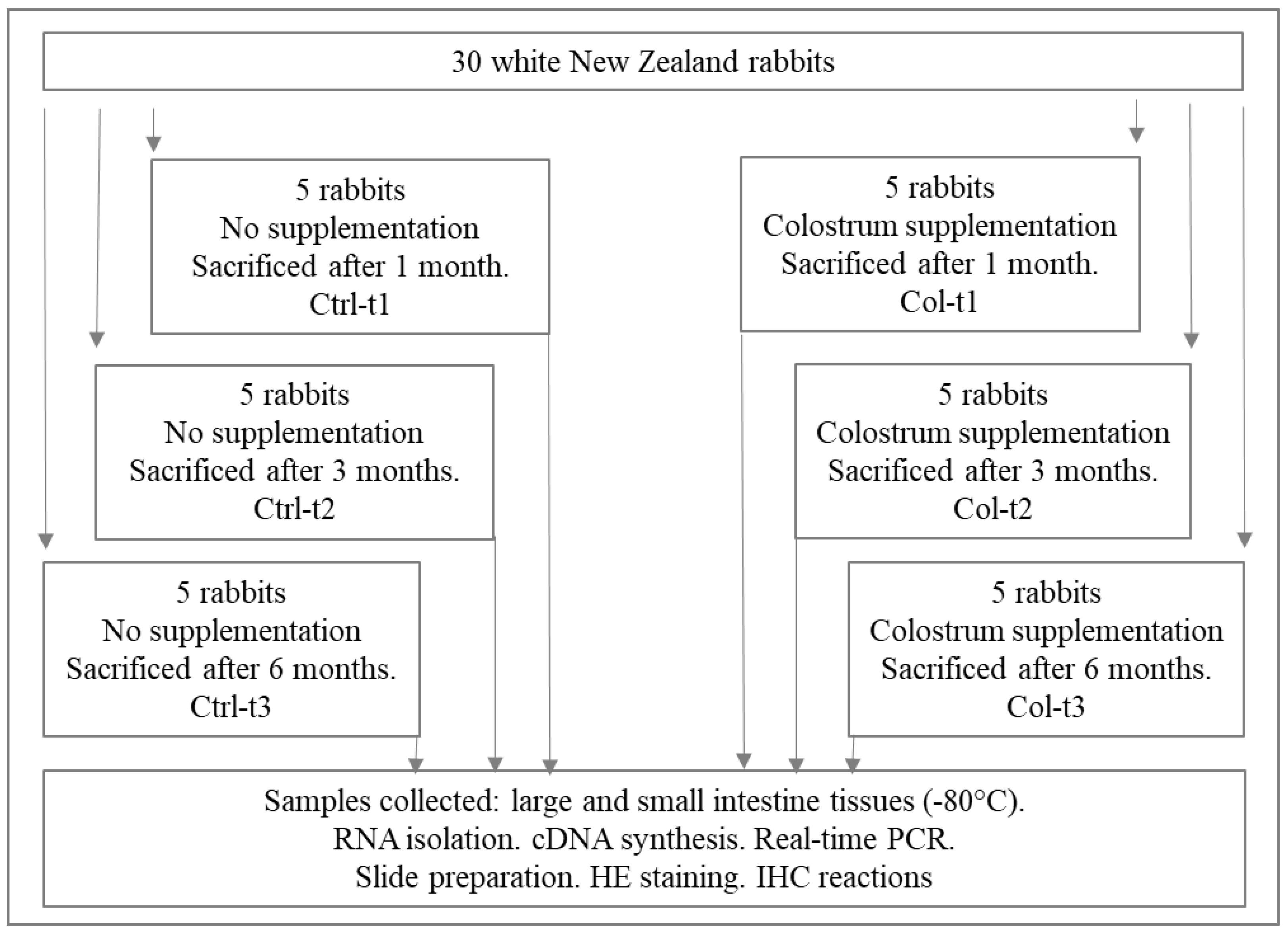 Foods 11 00685 g001 Foods 11 00685 g001
