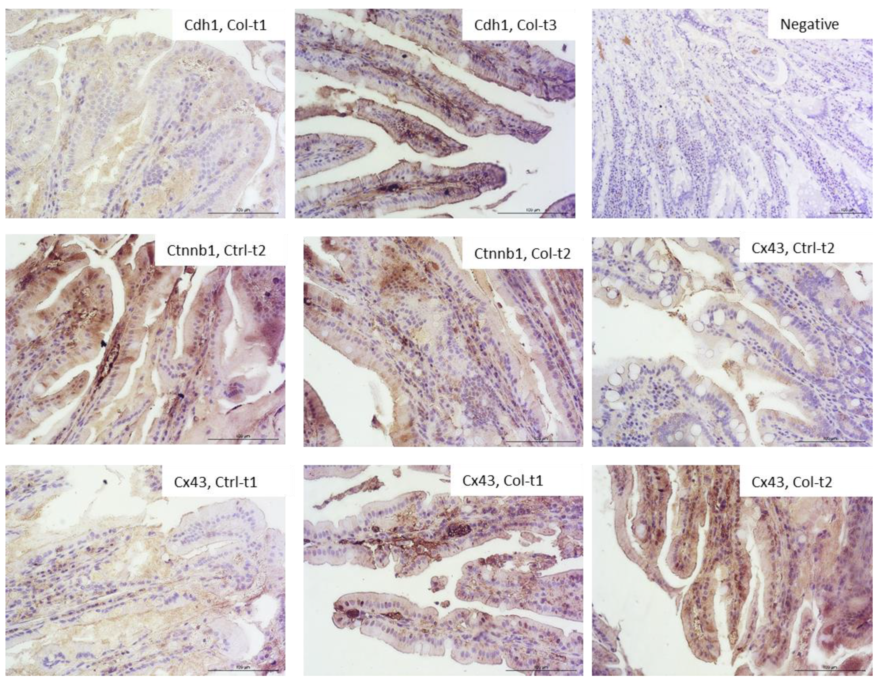 Foods 11 00685 g004 Foods 11 00685 g004