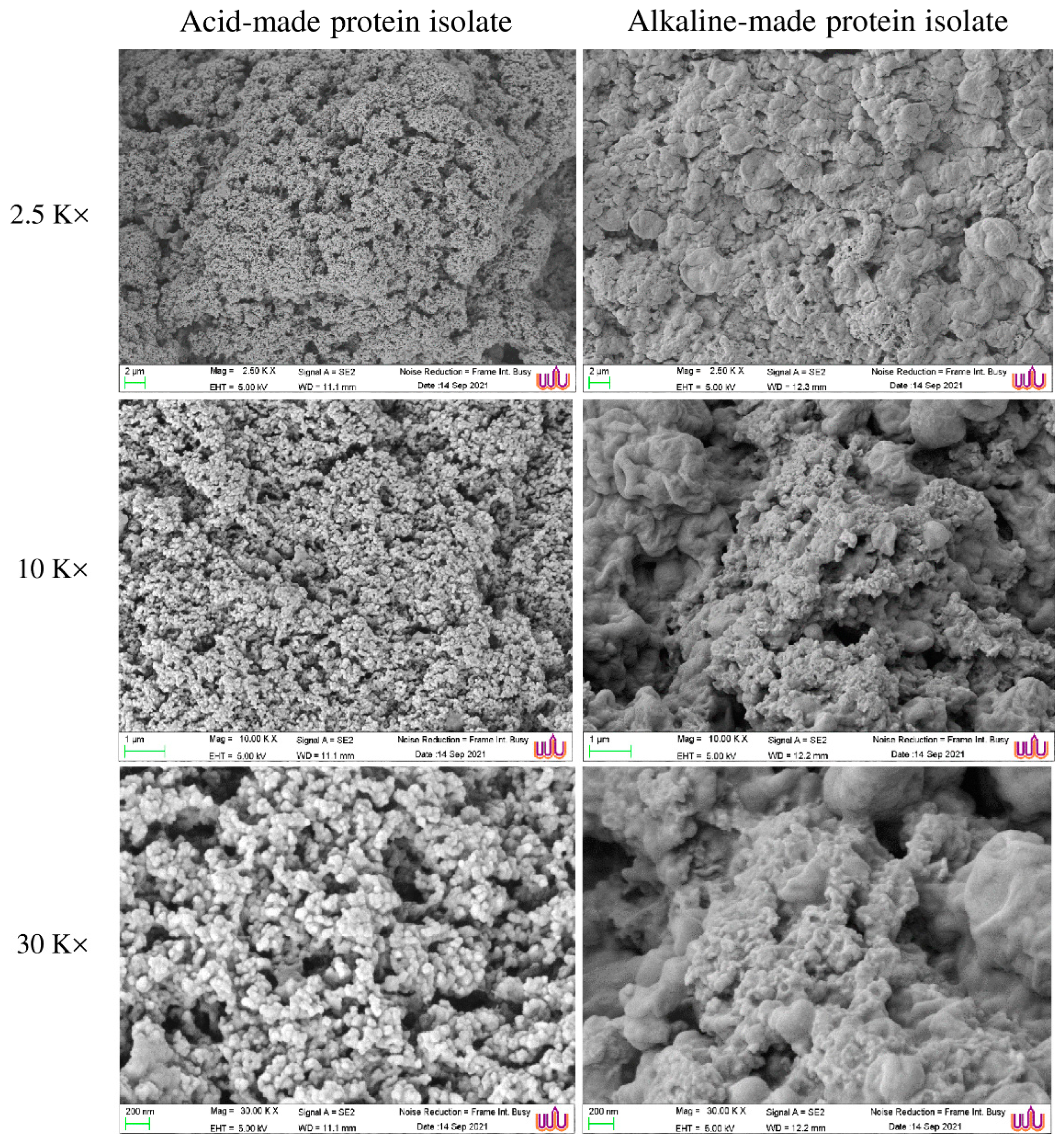 Foods 11 00695 g003 550