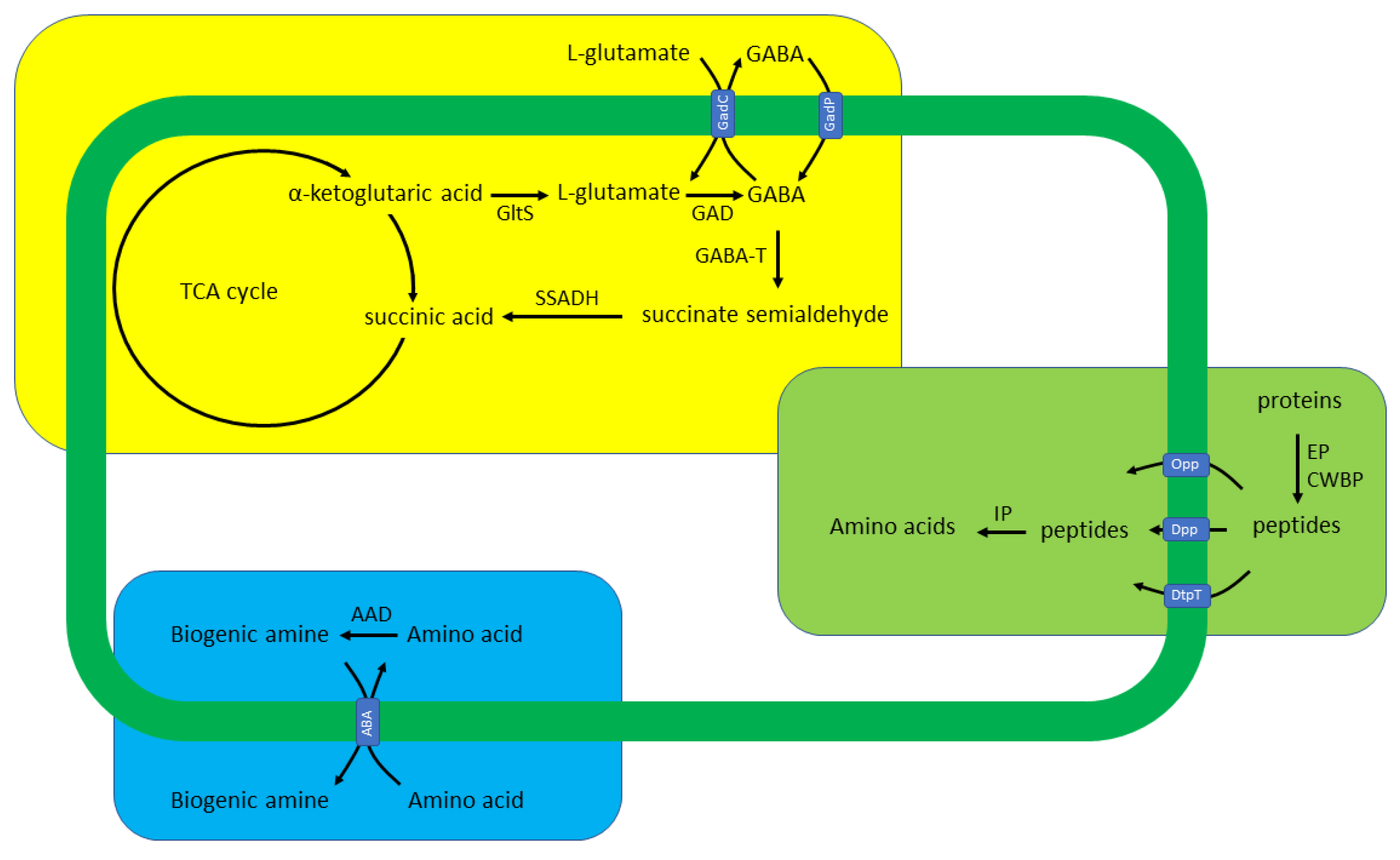 Foods 11 00733 g001 Foods 11 00733 g001