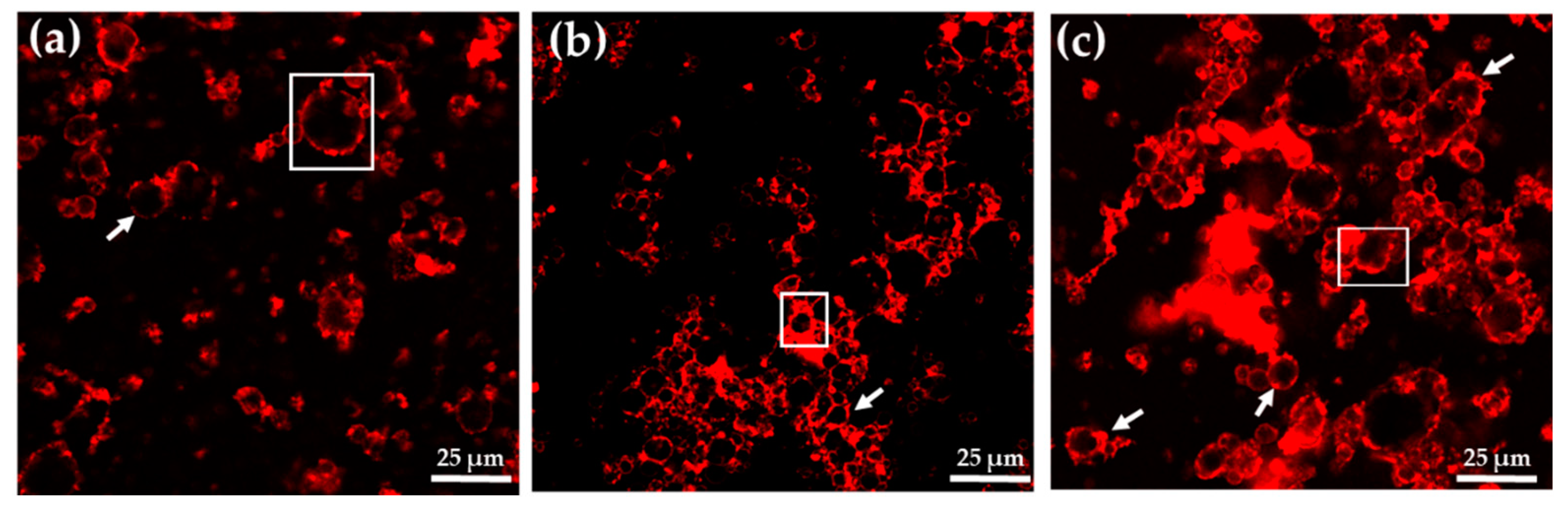 Foods 11 00738 g002 550