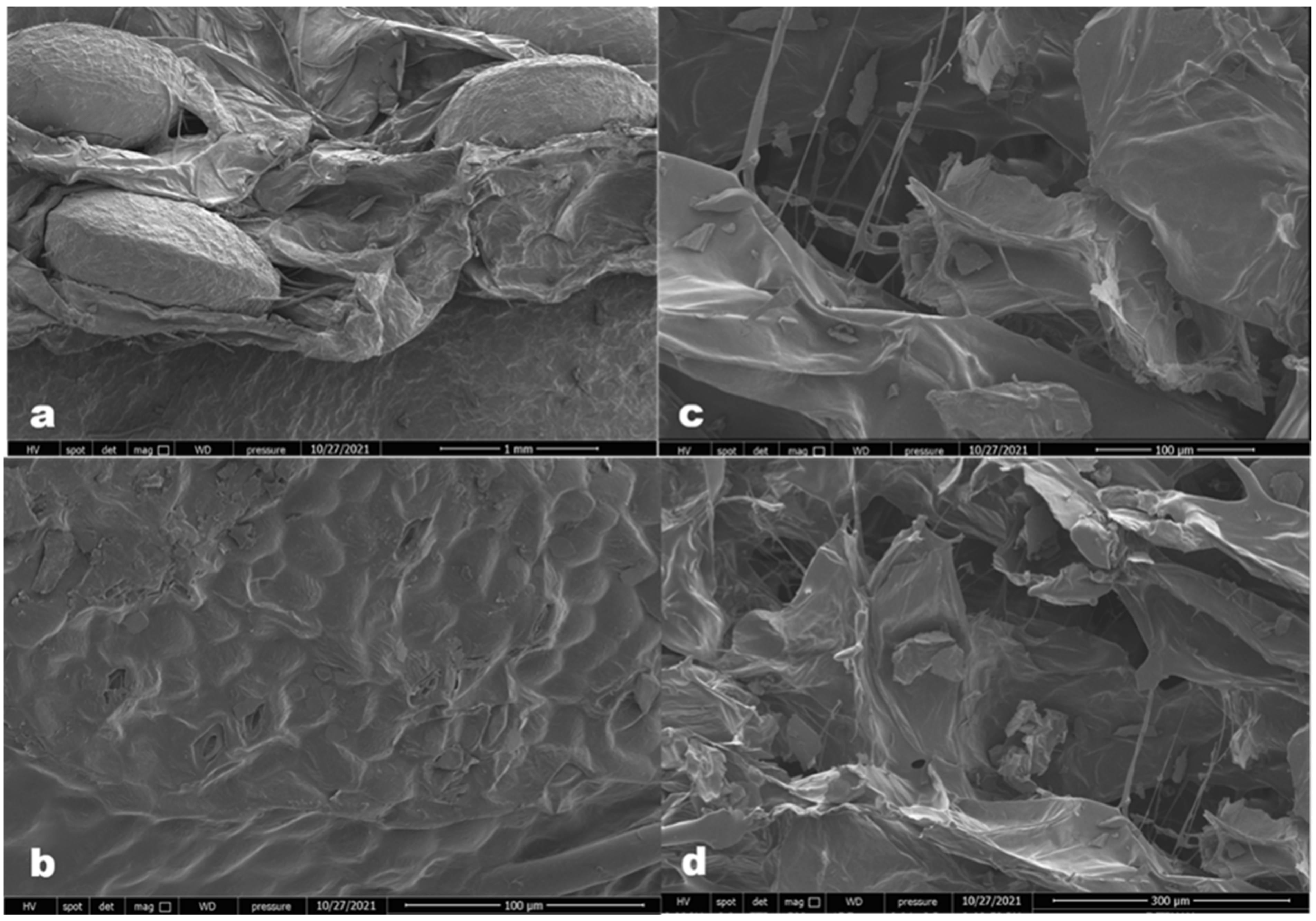 Foods 11 00741 g005 Foods 11 00741 g005