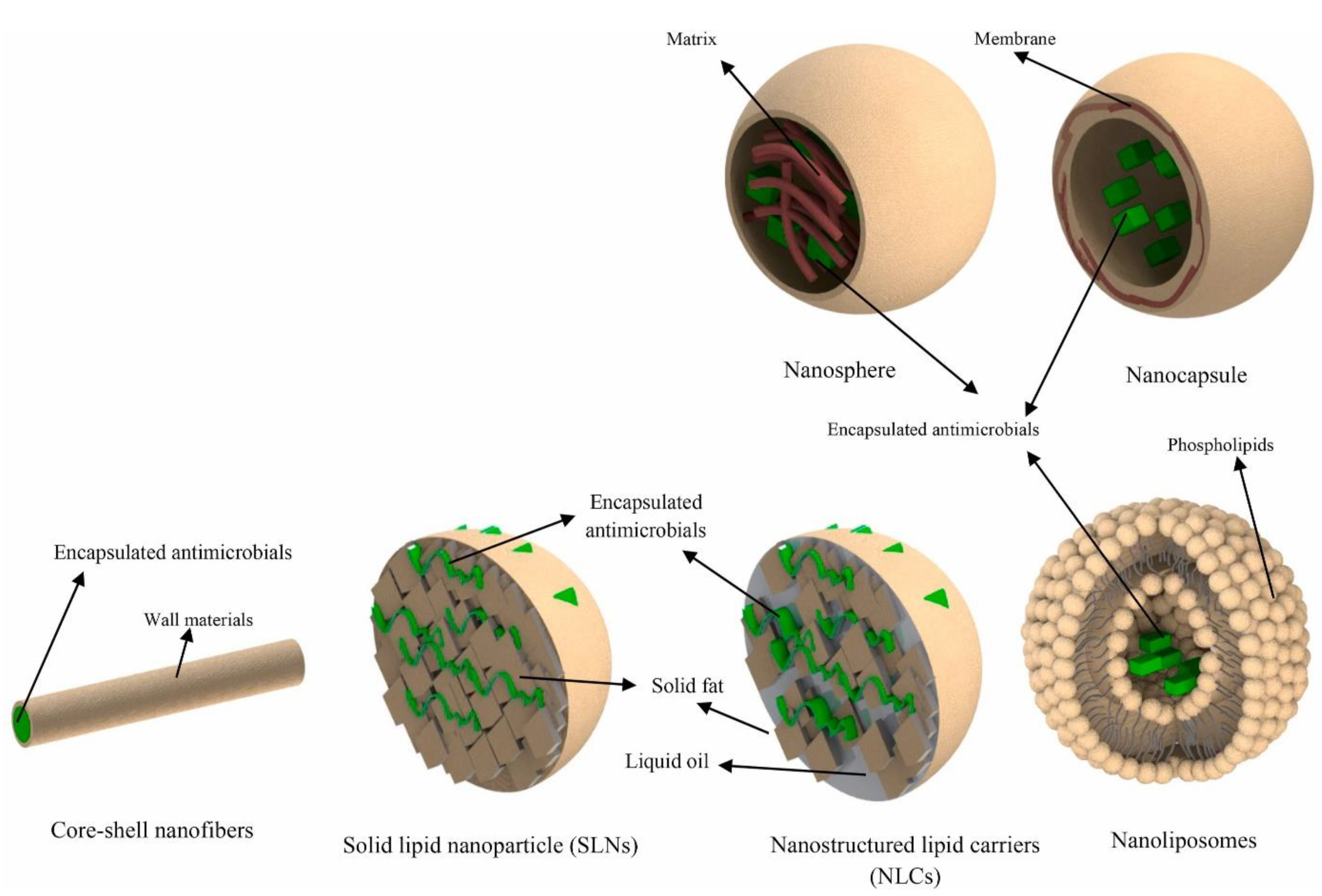 Foods 11 00760 g005 Foods 11 00760 g005
