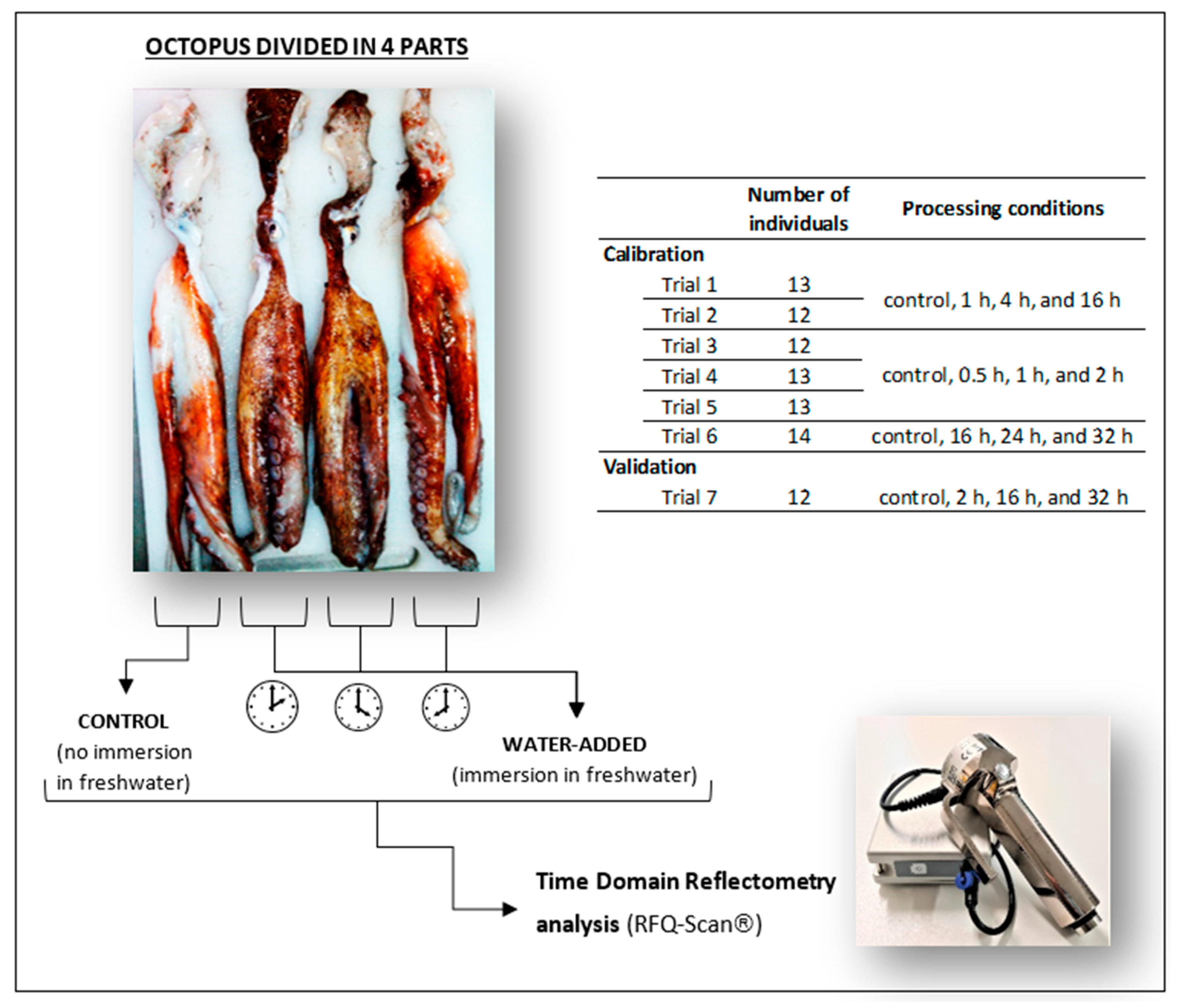 Foods 11 00791 g001 550