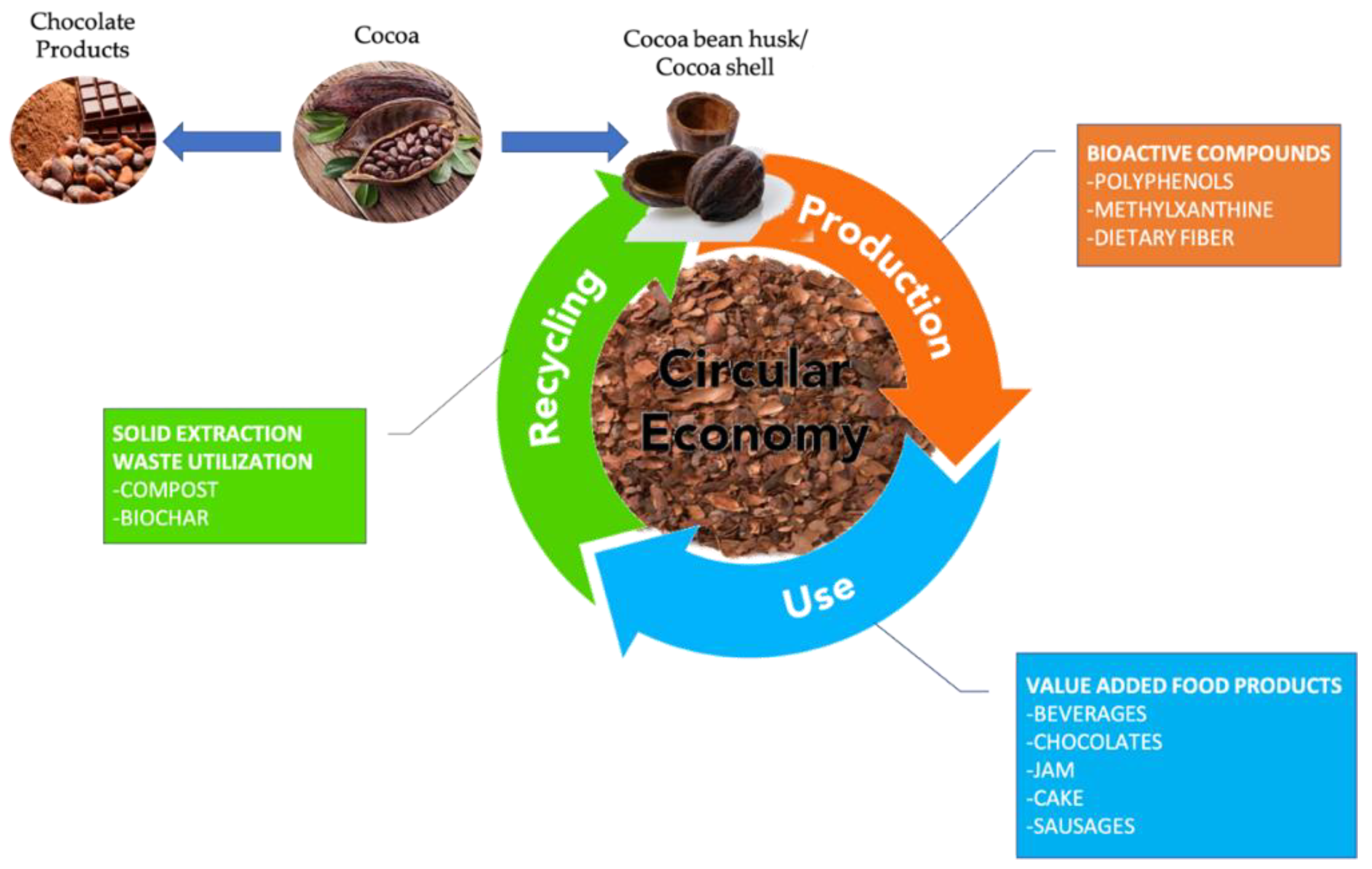 Bioactive Compounds from Cocoa Husk: Extraction, Analysis and Applications in Food Production Chain