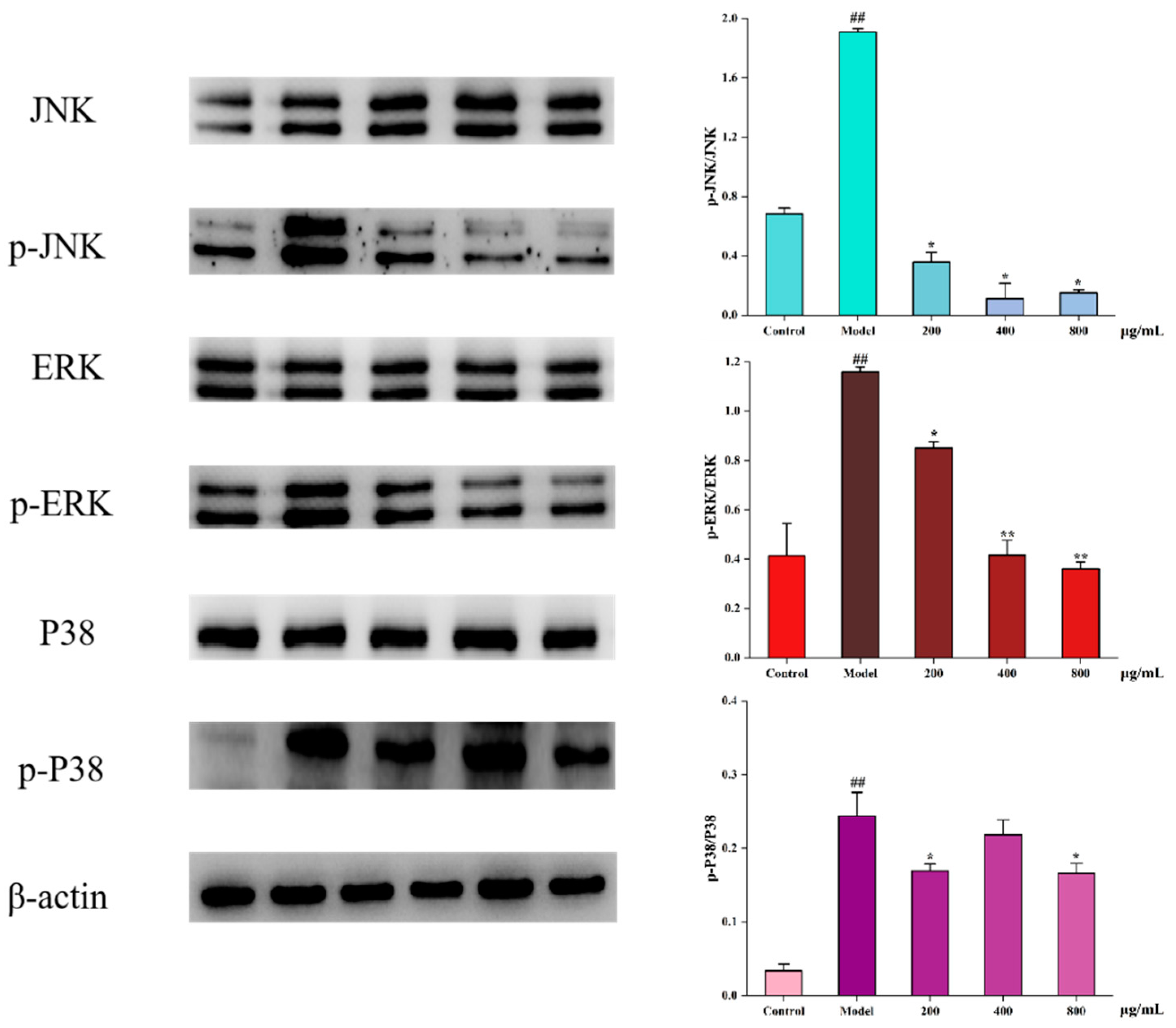 Foods 11 00800 g005 550