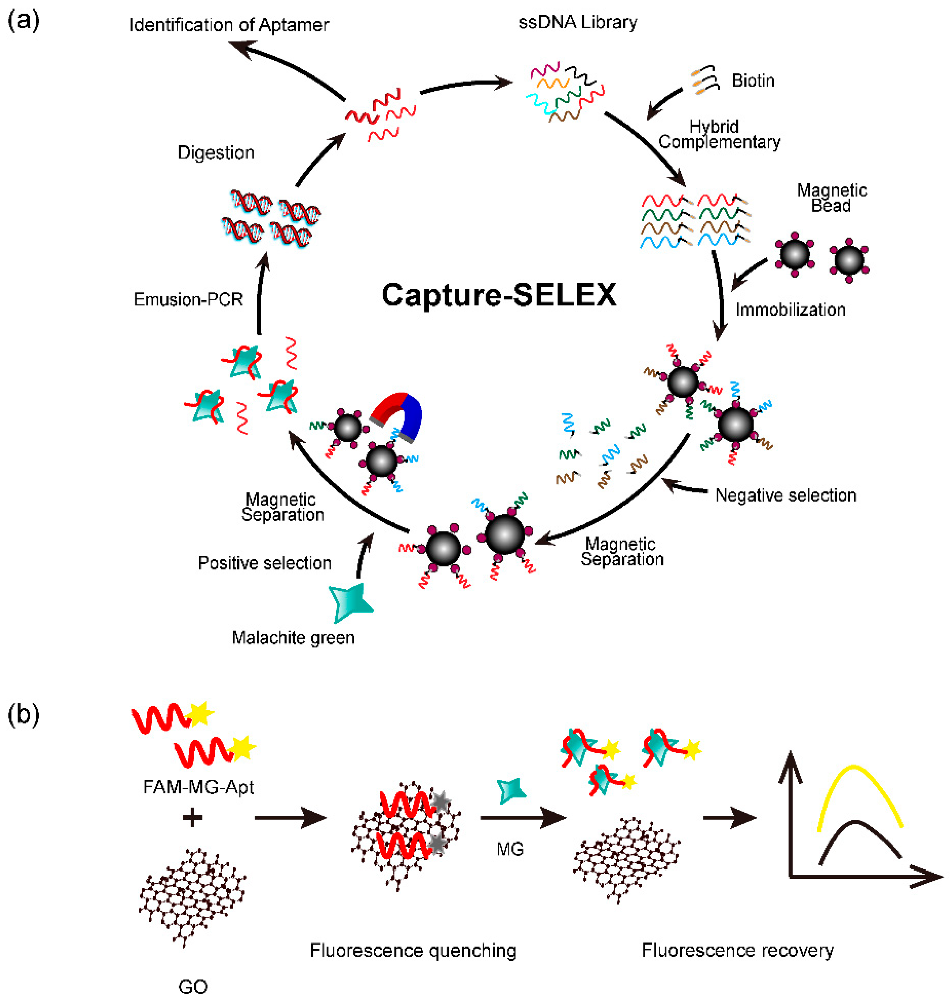 Foods 11 00801 sch001
