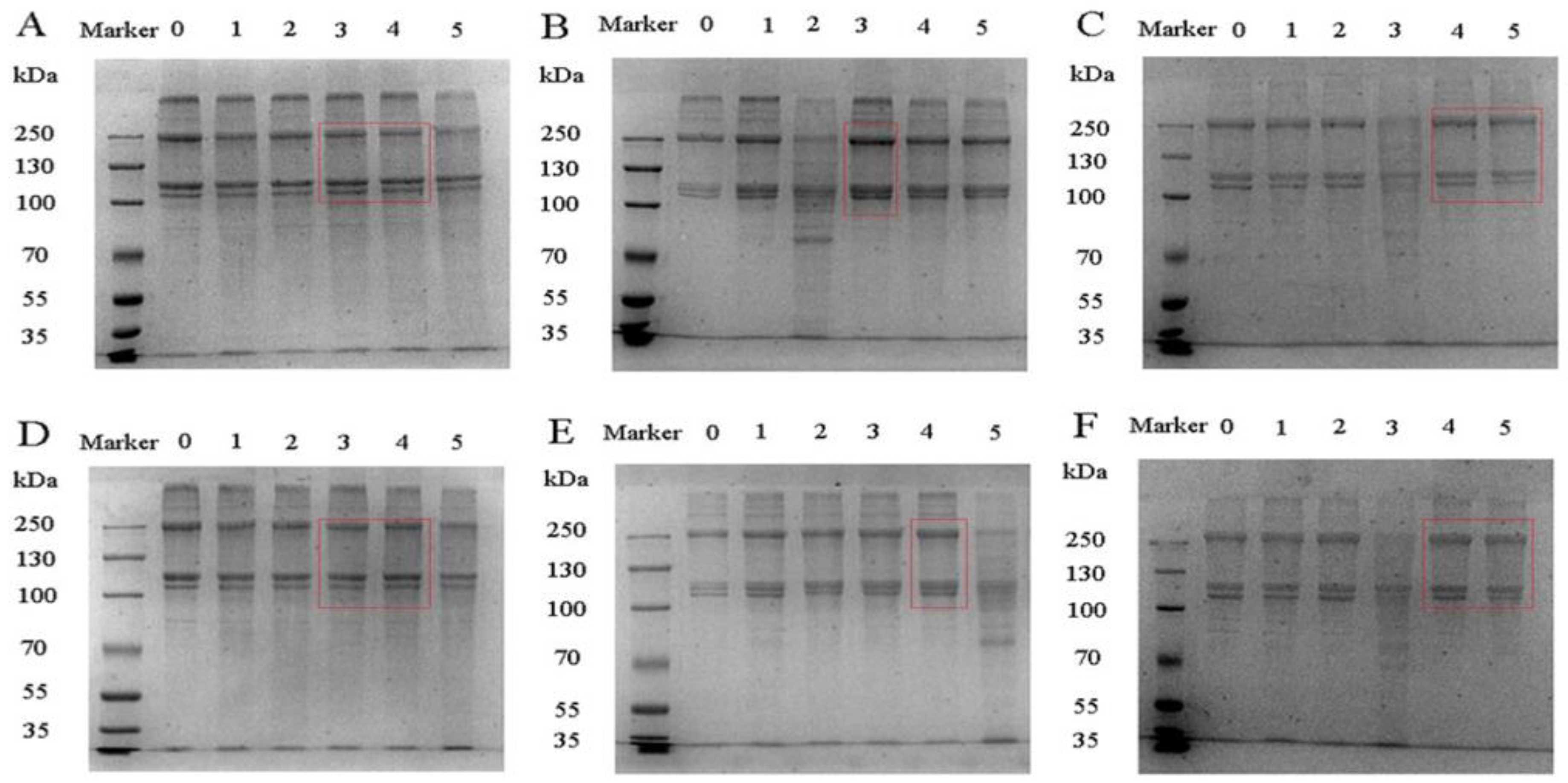 Foods 11 00804 g001 550