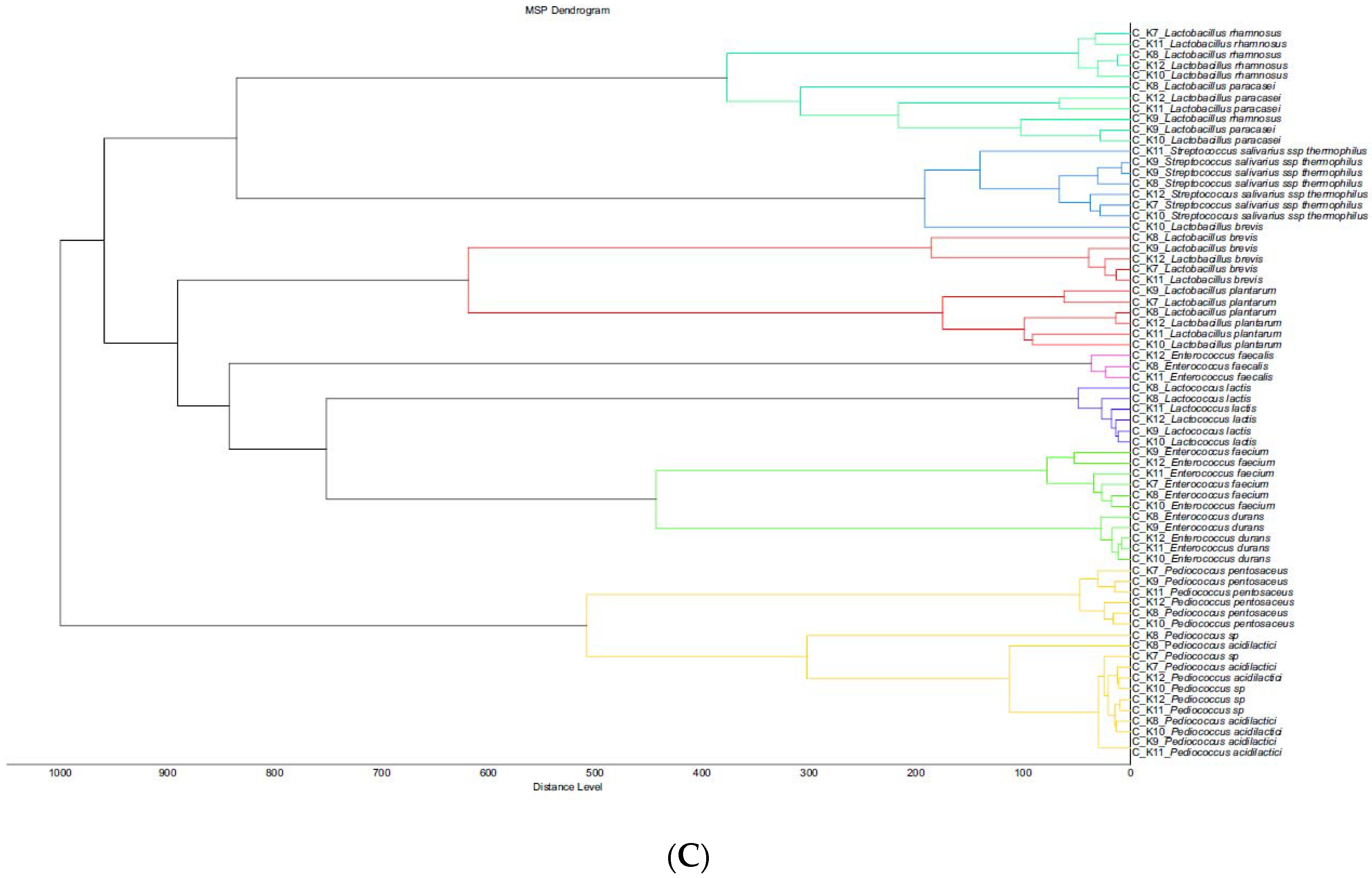 Foods 11 00843 g001b
